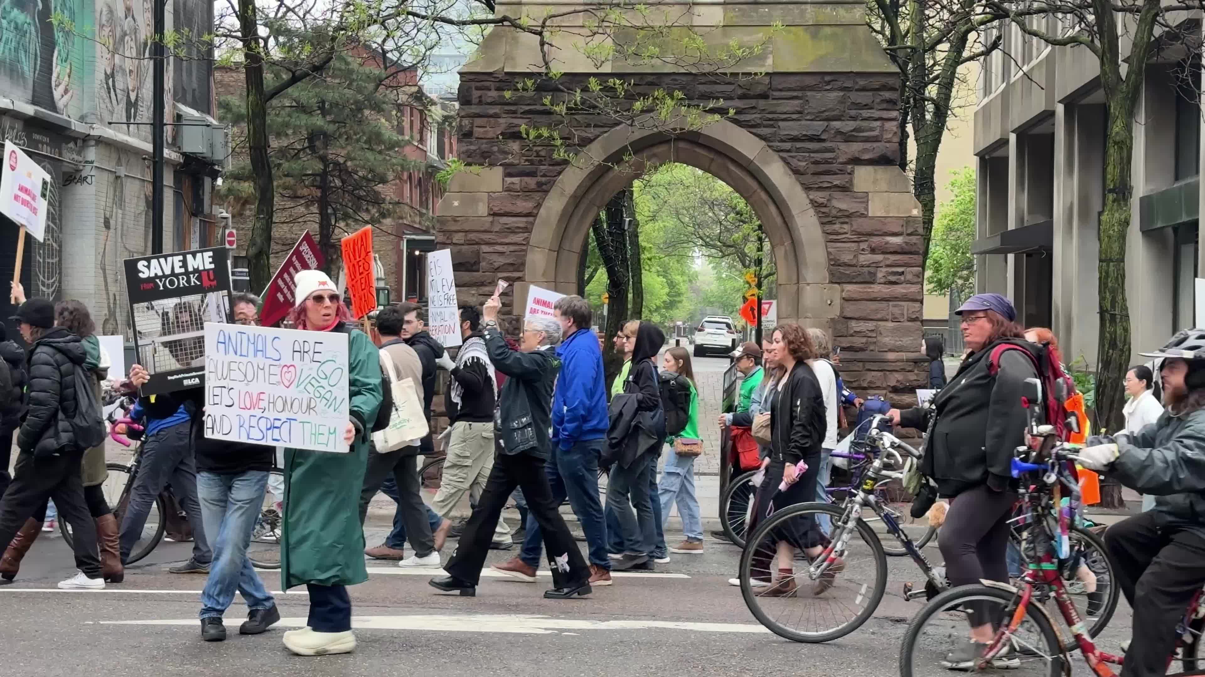 Animals Rights March In Toronto, Canada