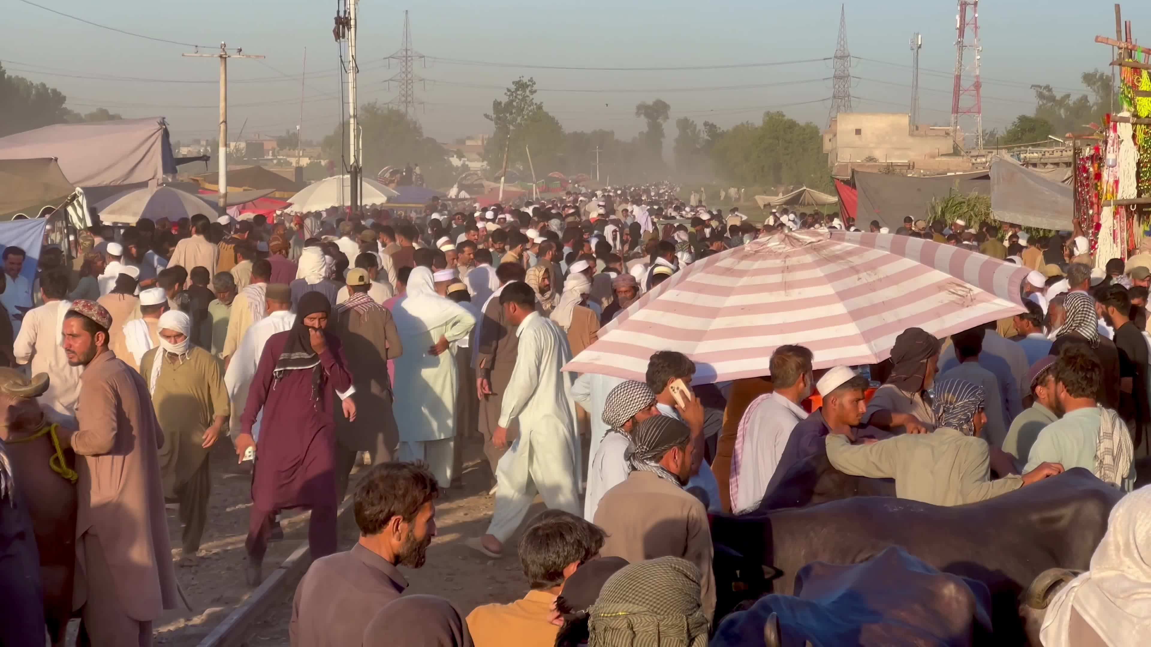 Eid al-Adha preparations at livestock market in Peshawar