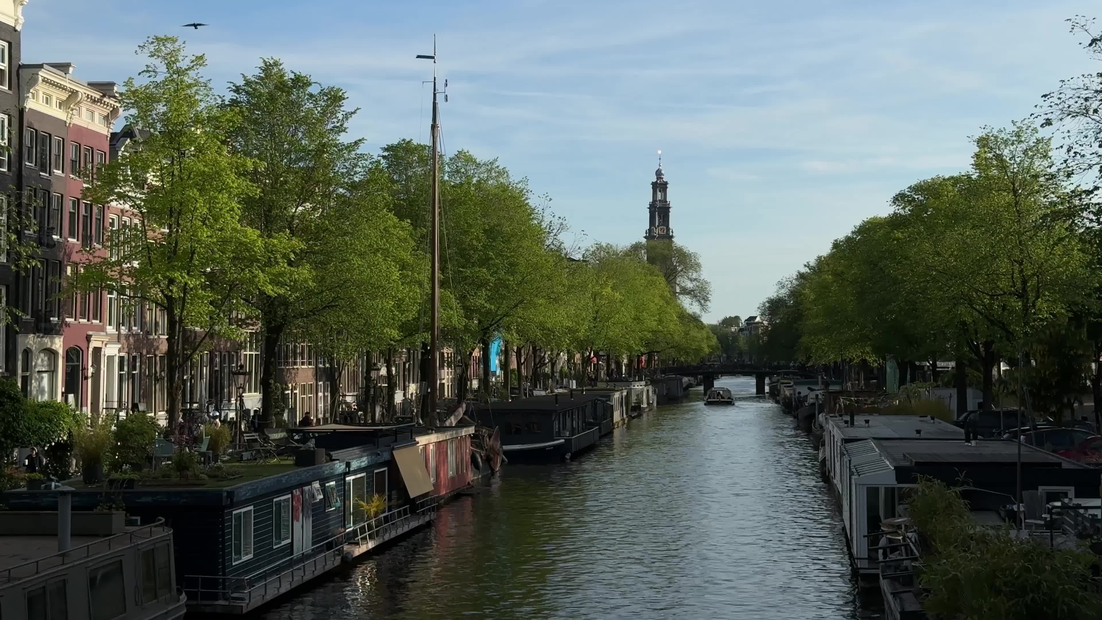 Daily Life in Amsterdam