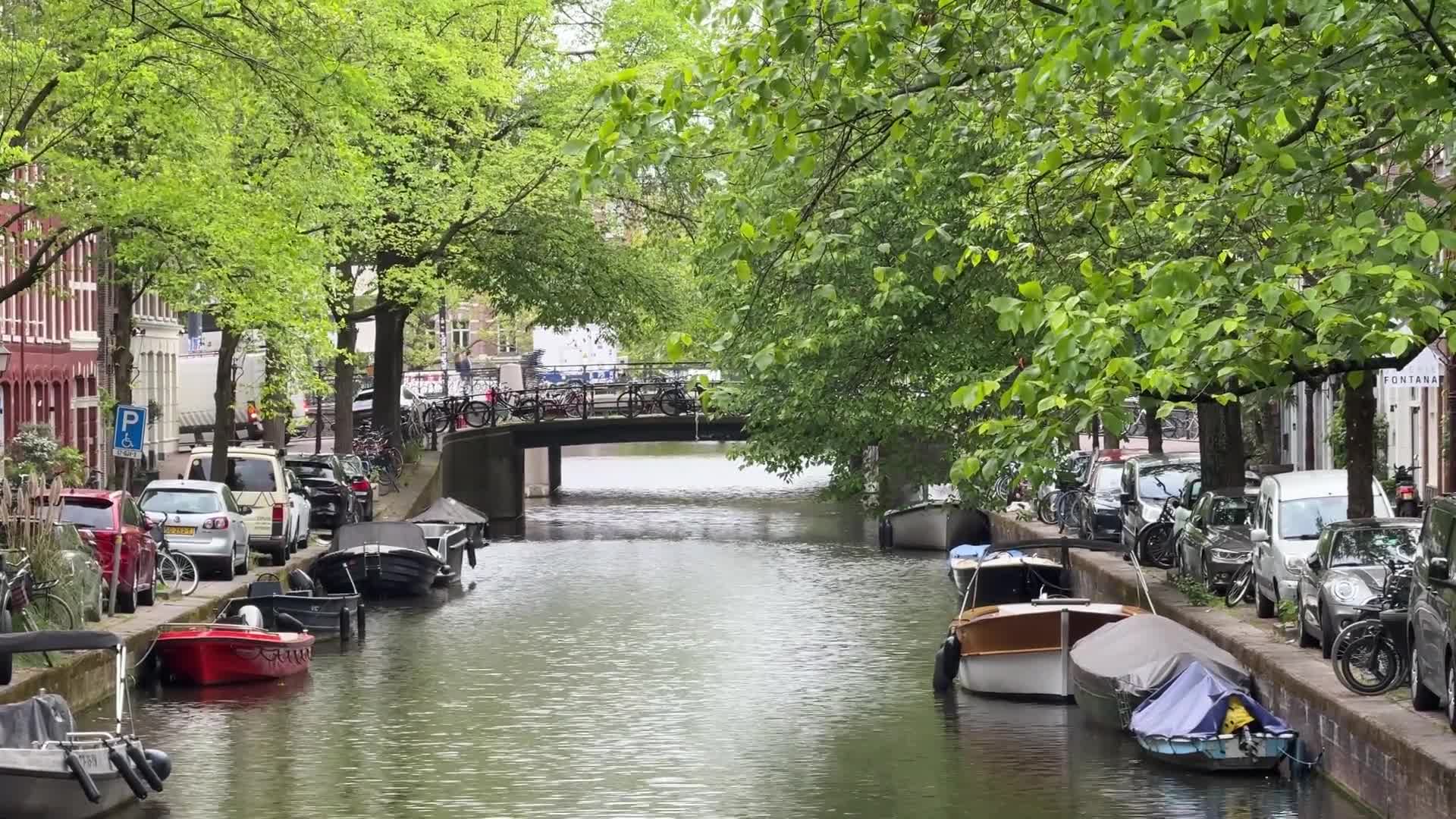 Daily Life in Amsterdam - 05/20/2026