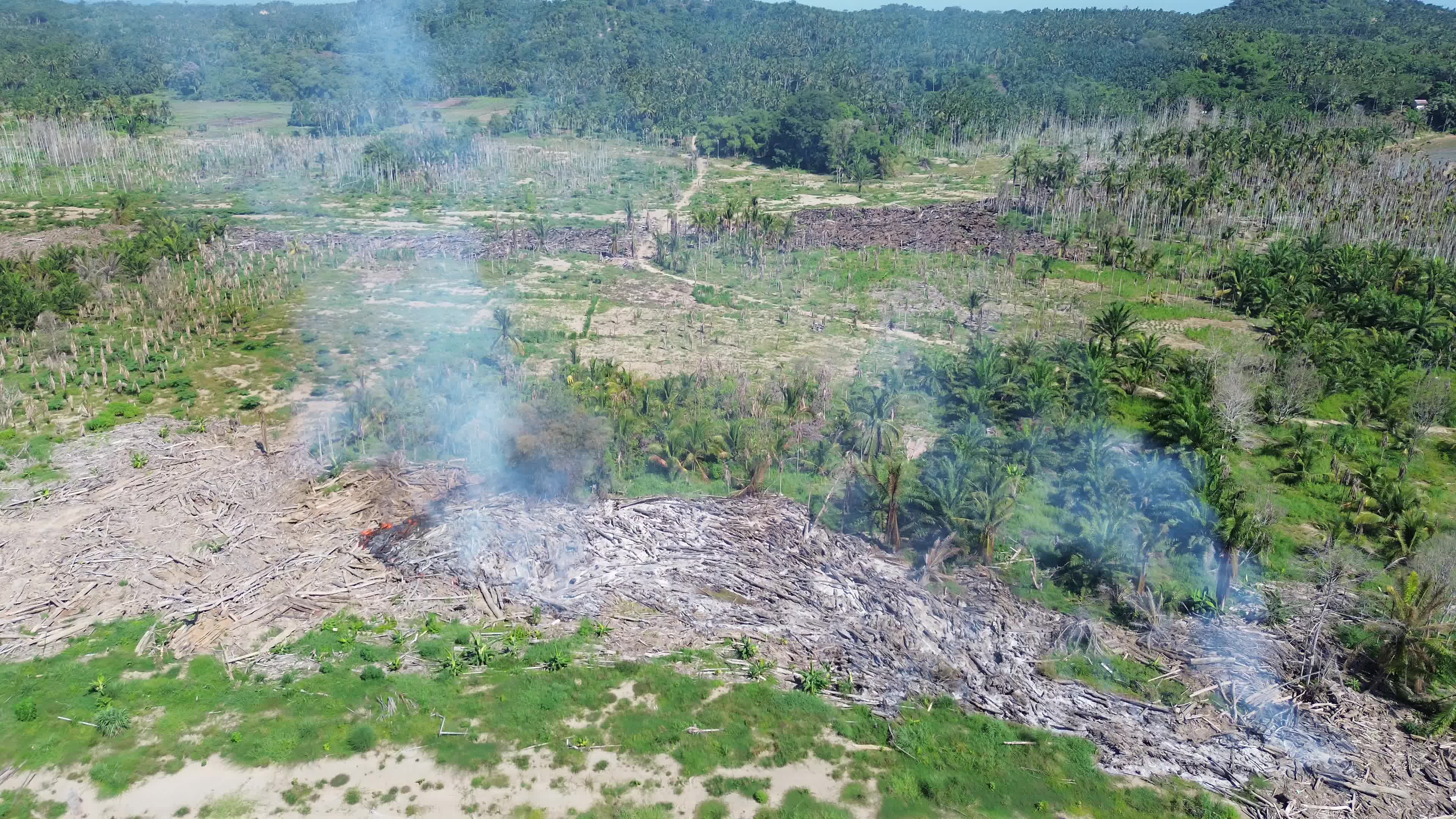 Log Fire in North Aceh