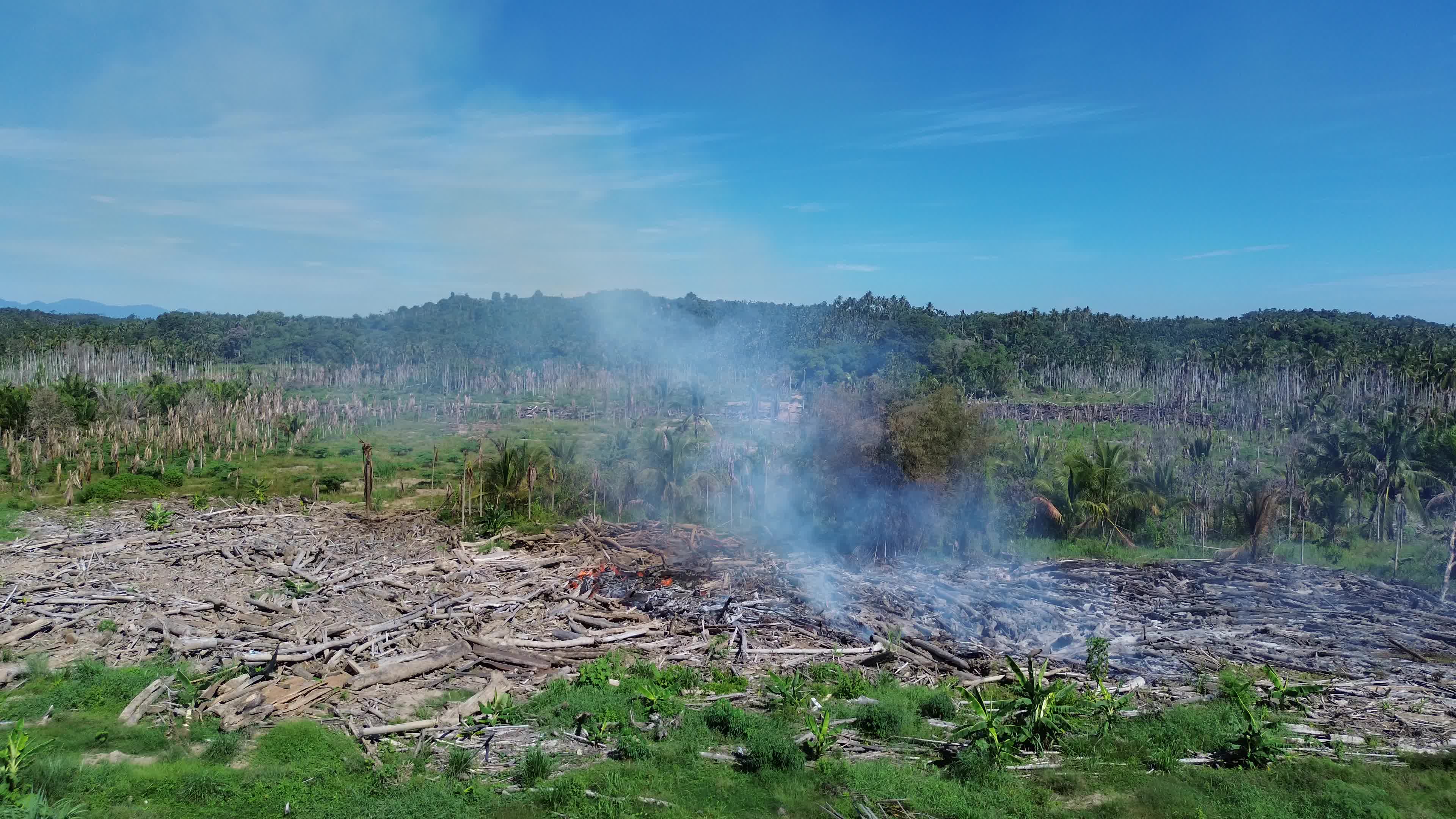 Log Fire in North Aceh