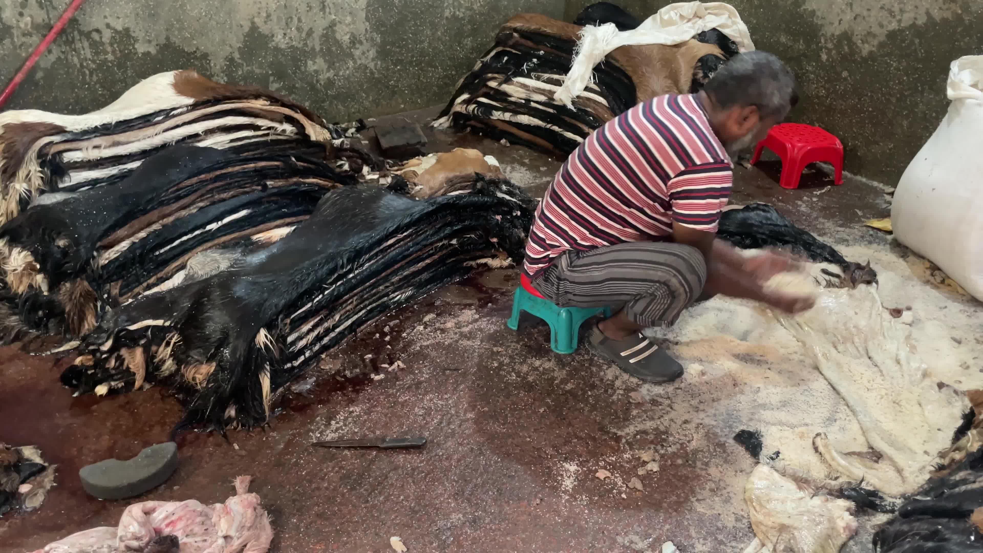 Leather industry in Dhaka