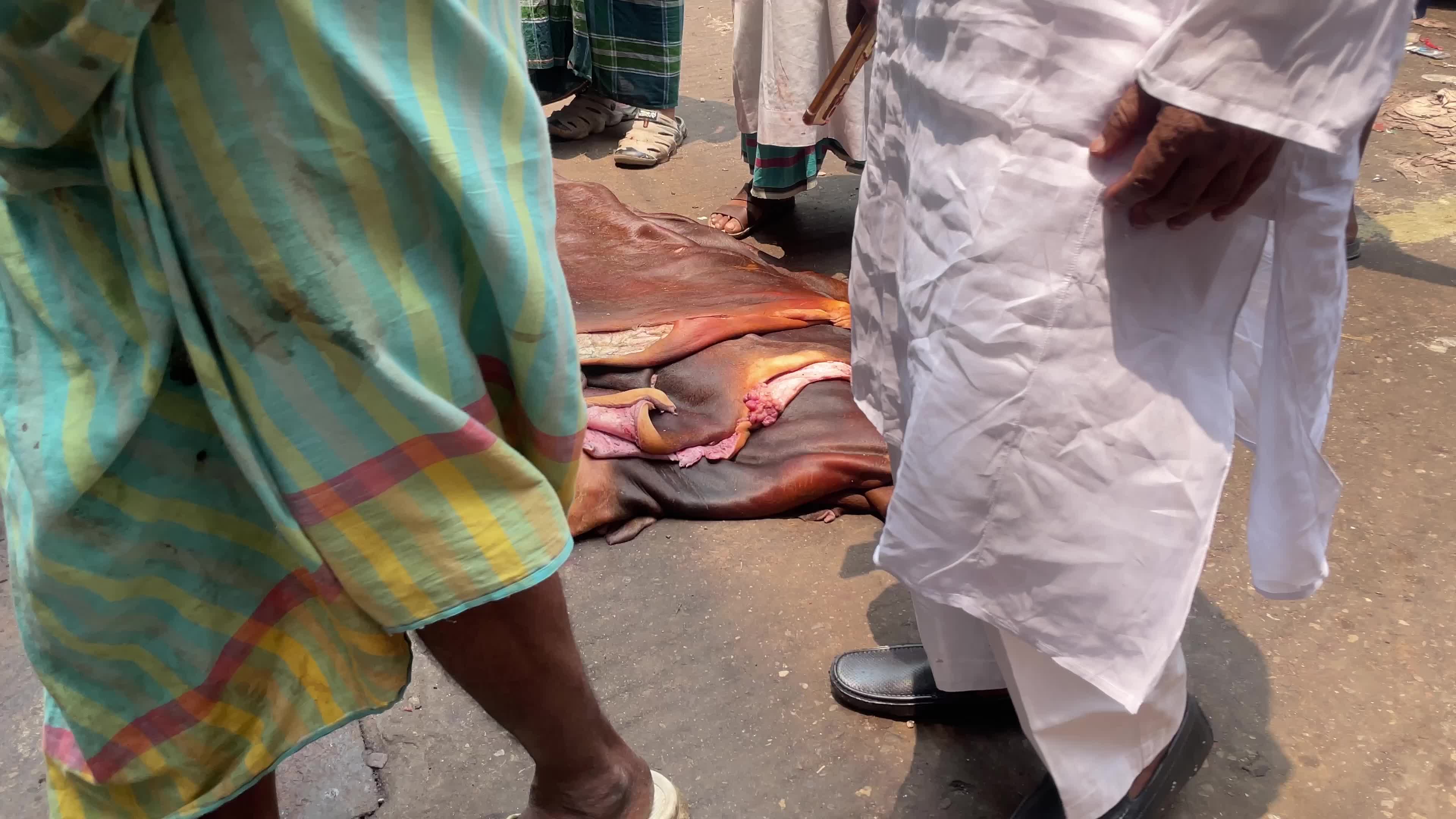 Leather industry in Dhaka