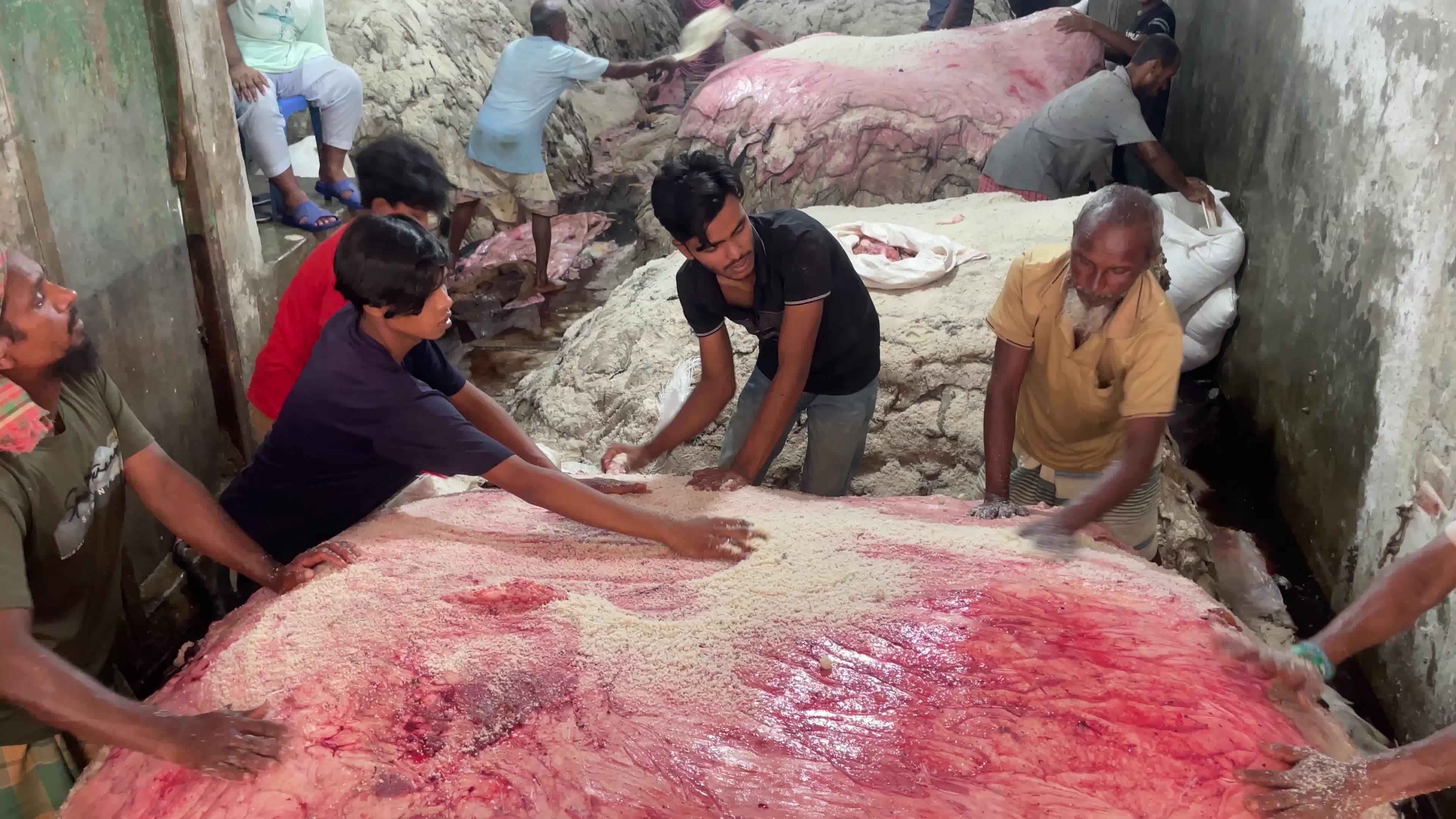 Leather industry in Dhaka