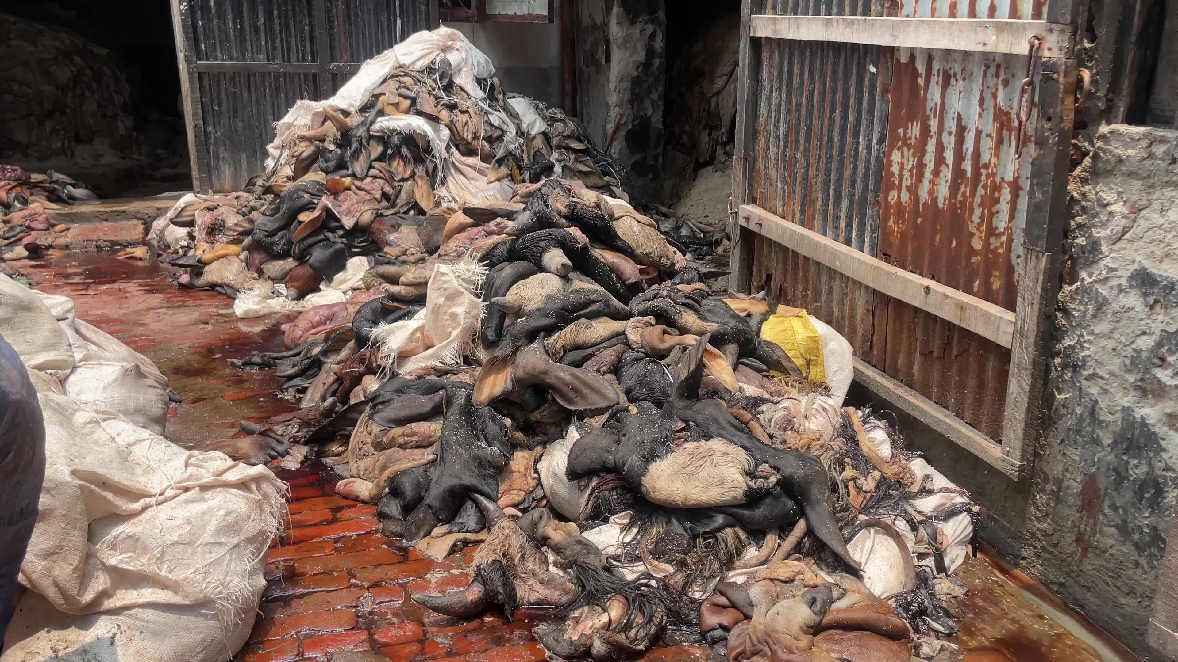 Leather industry in Dhaka
