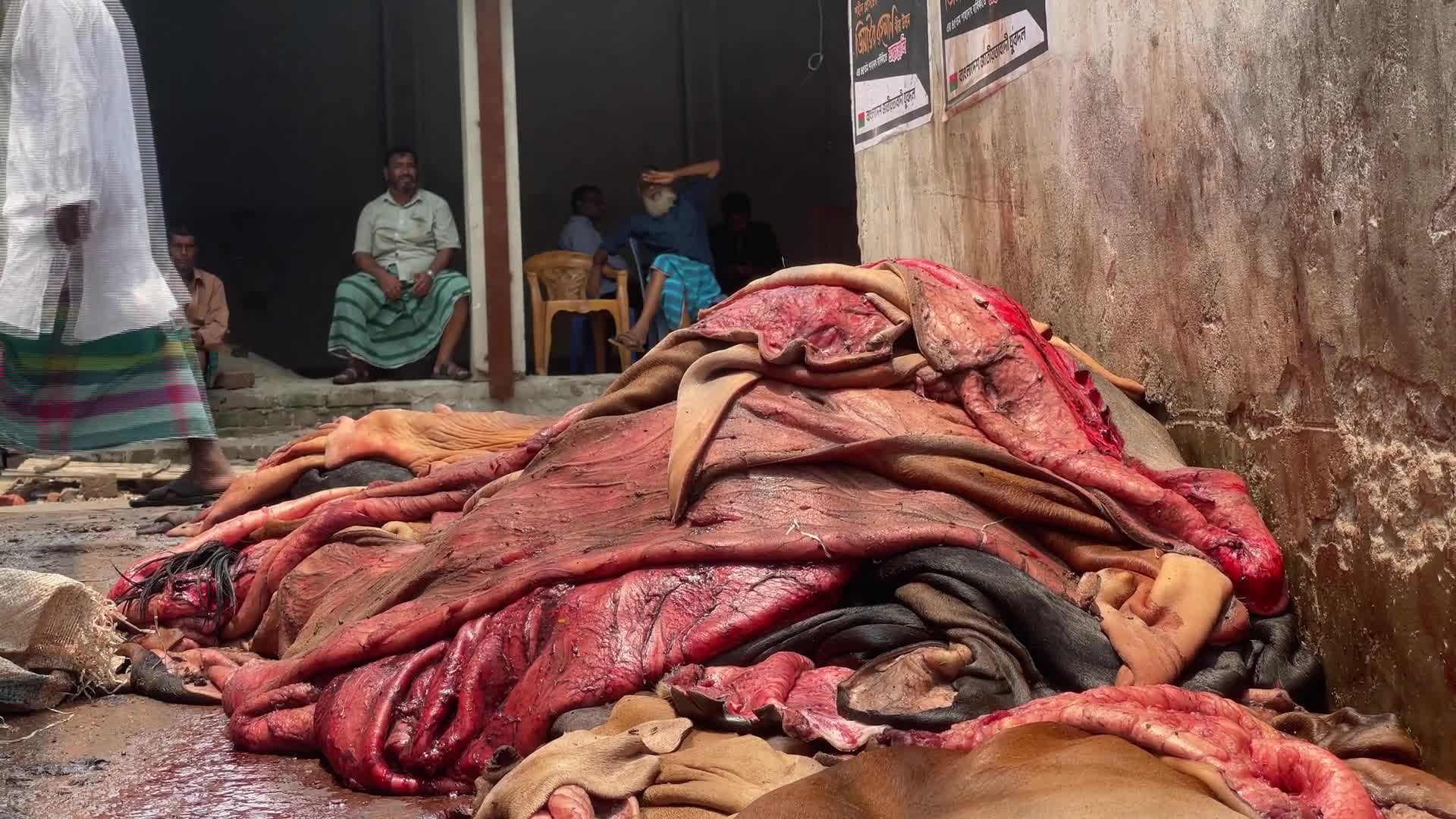 Leather industry in Dhaka - 05/29/2026
