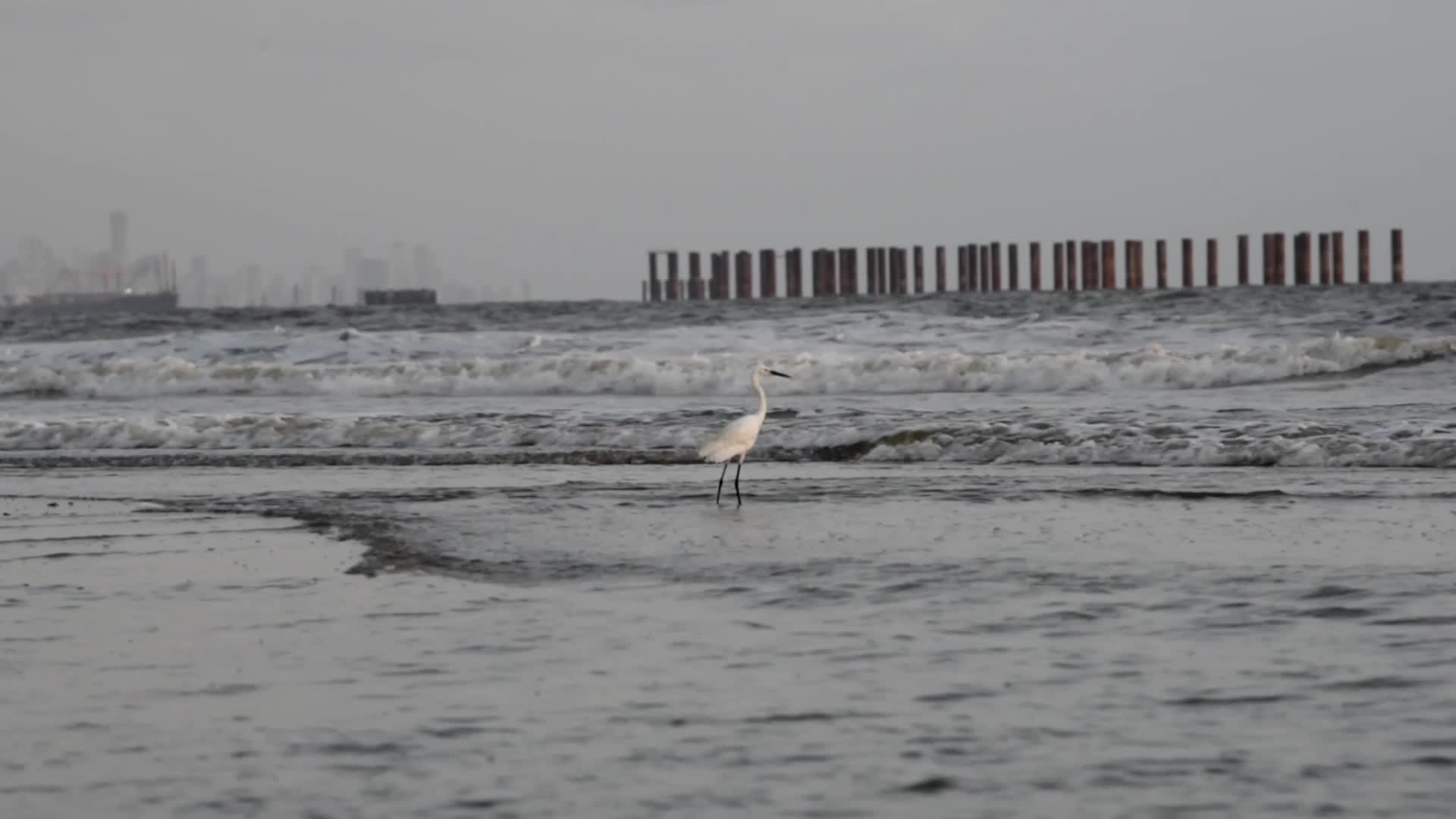 Mumbai Coastal Line On The Eve Of World Environment Day