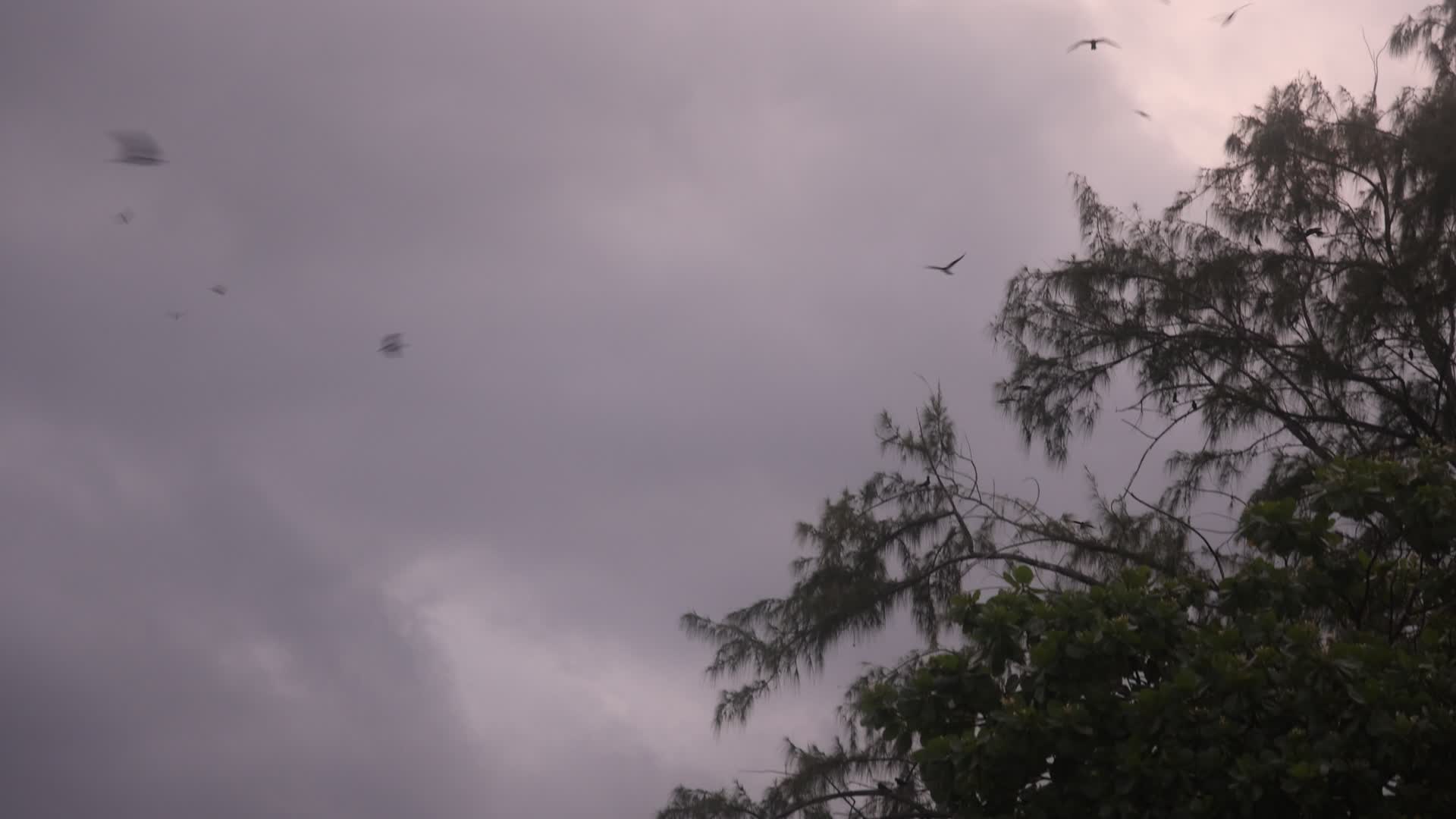 Violent thunderstorm in Rangiroa