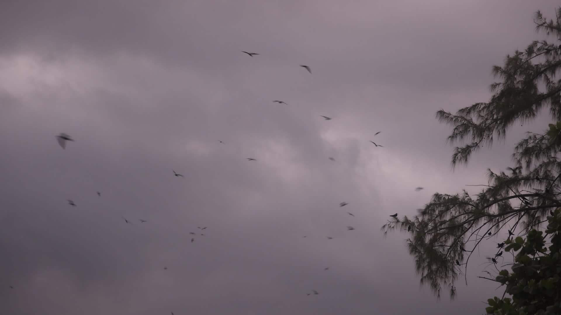 Violent thunderstorm in Rangiroa