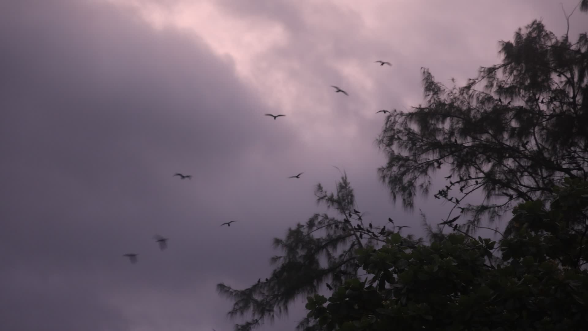 Violent thunderstorm in Rangiroa