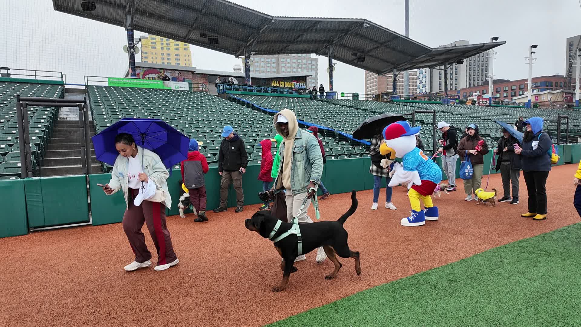 Bark in the Park