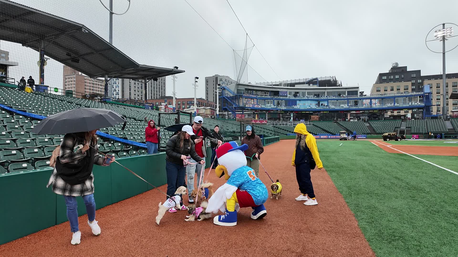 Bark in the Park