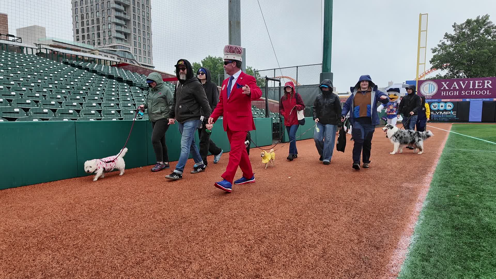 Bark in the Park