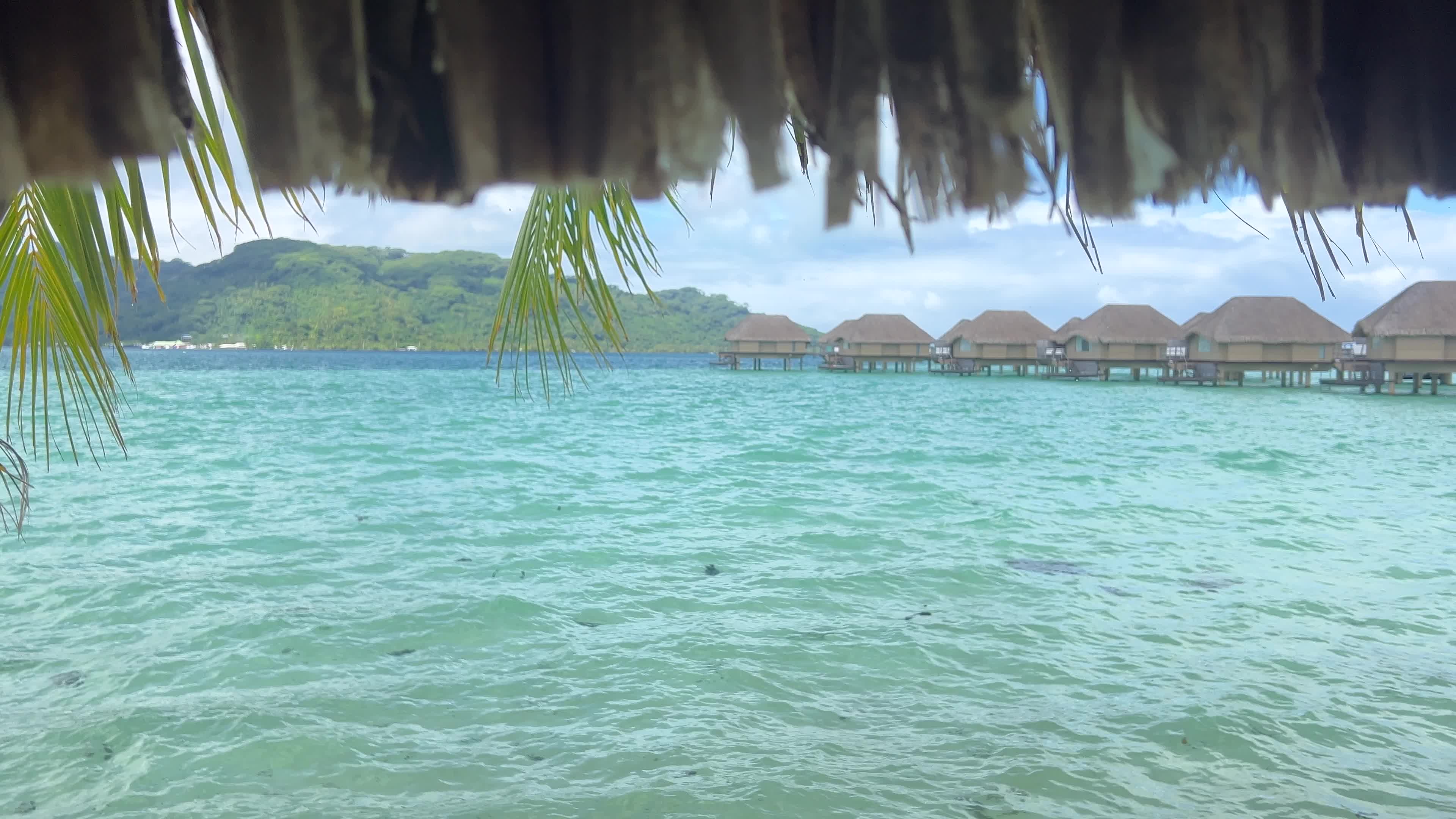 Daily life in Motu Tautau, French Polynesia