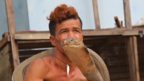 Indonesian Man Playing With Wild Cobras