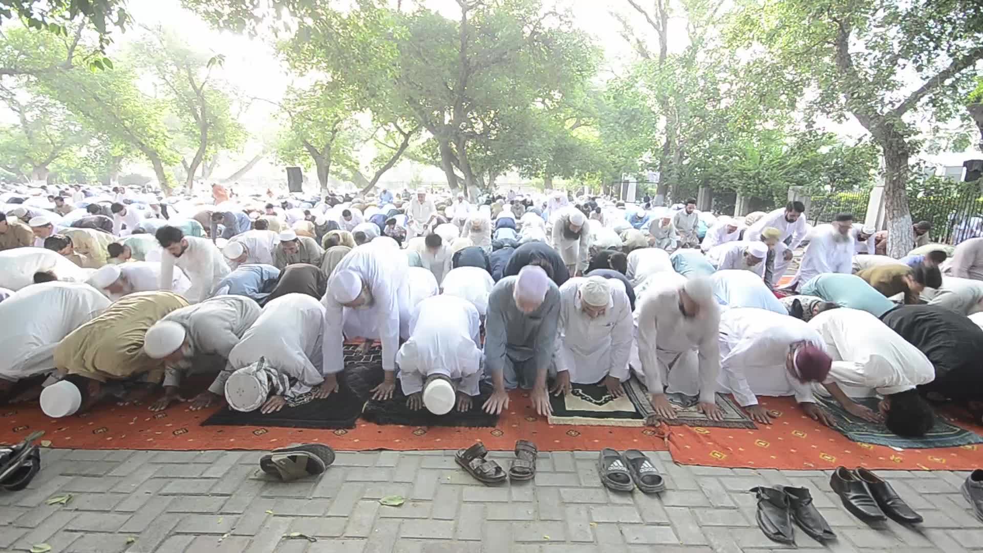 Eid al-Adha observed in Pakistan