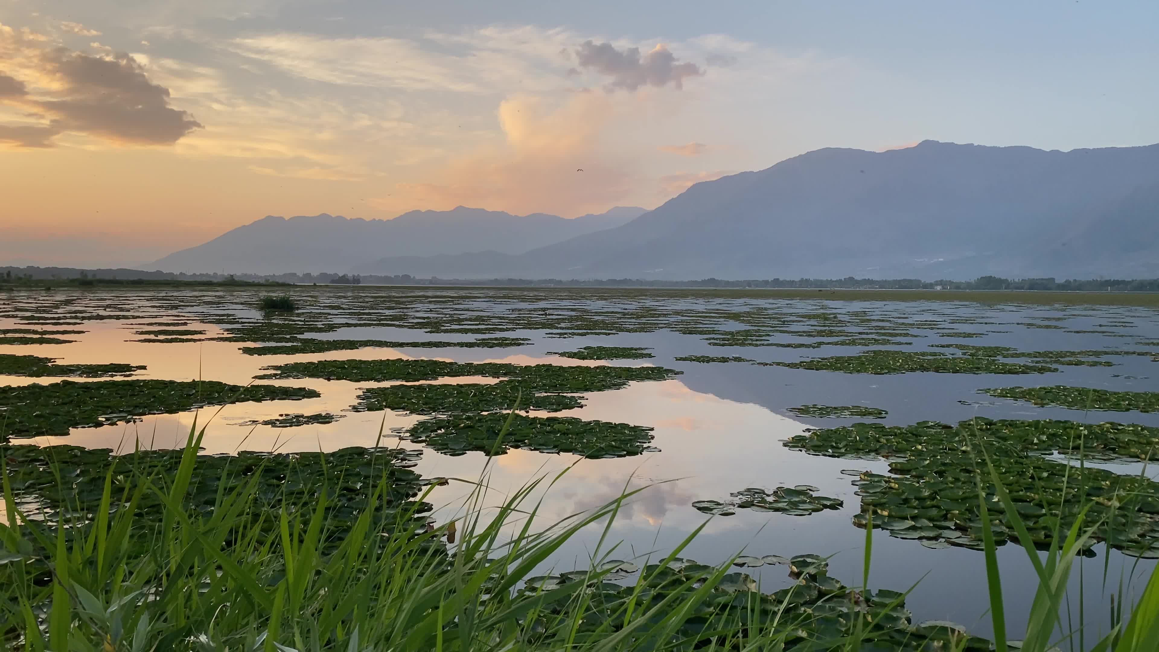 Sunset In Srinagar, India