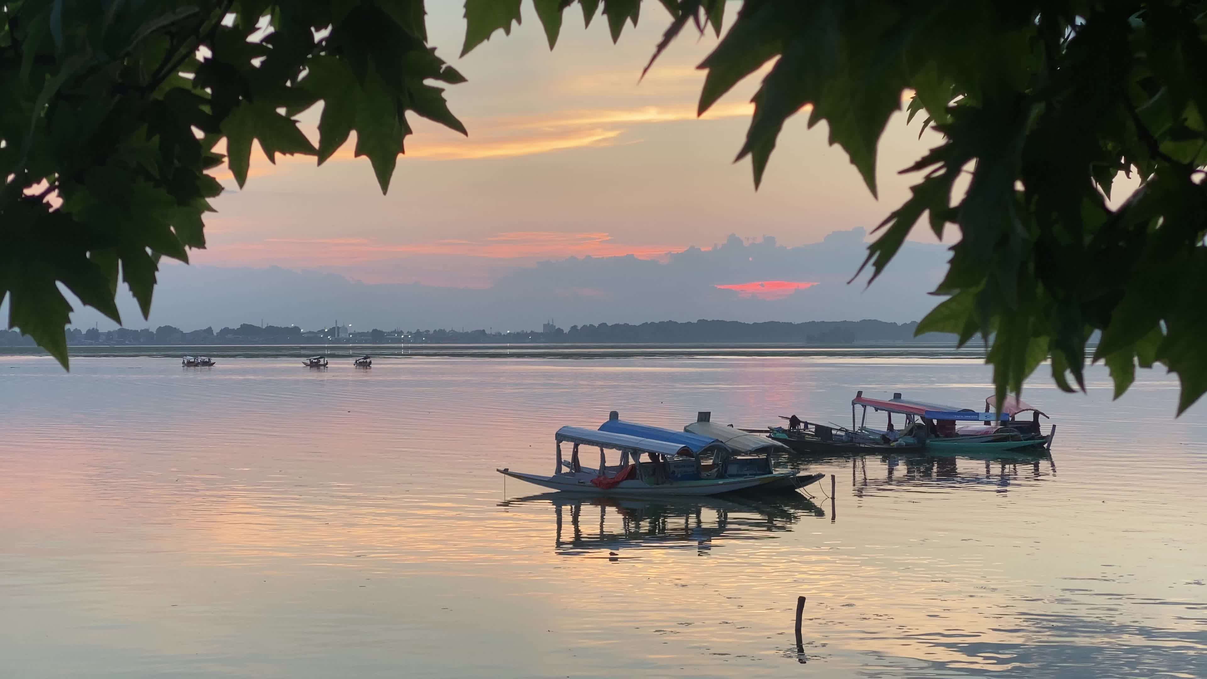 Sunset In Srinagar, India