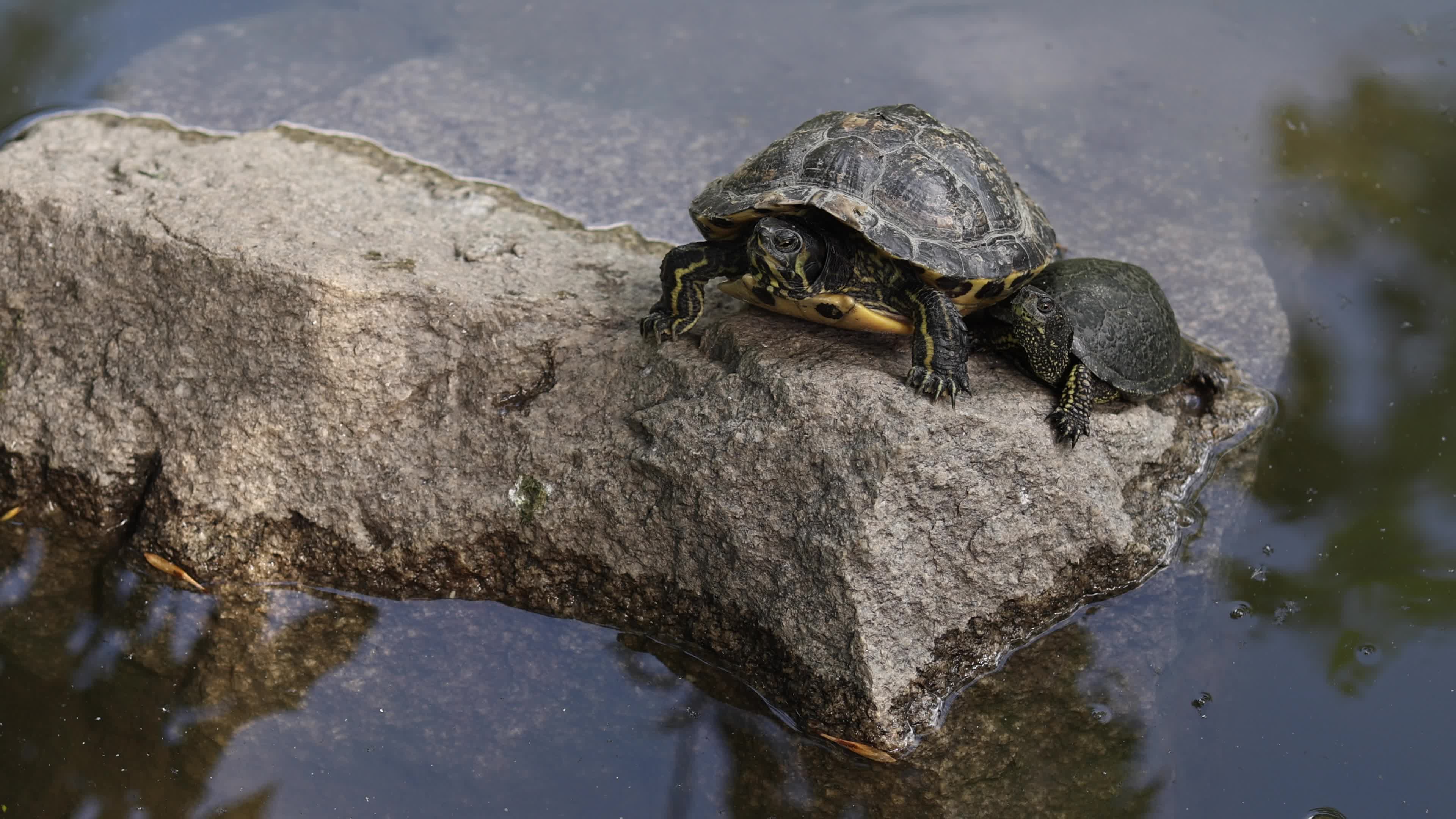 Belgrade Zoo
