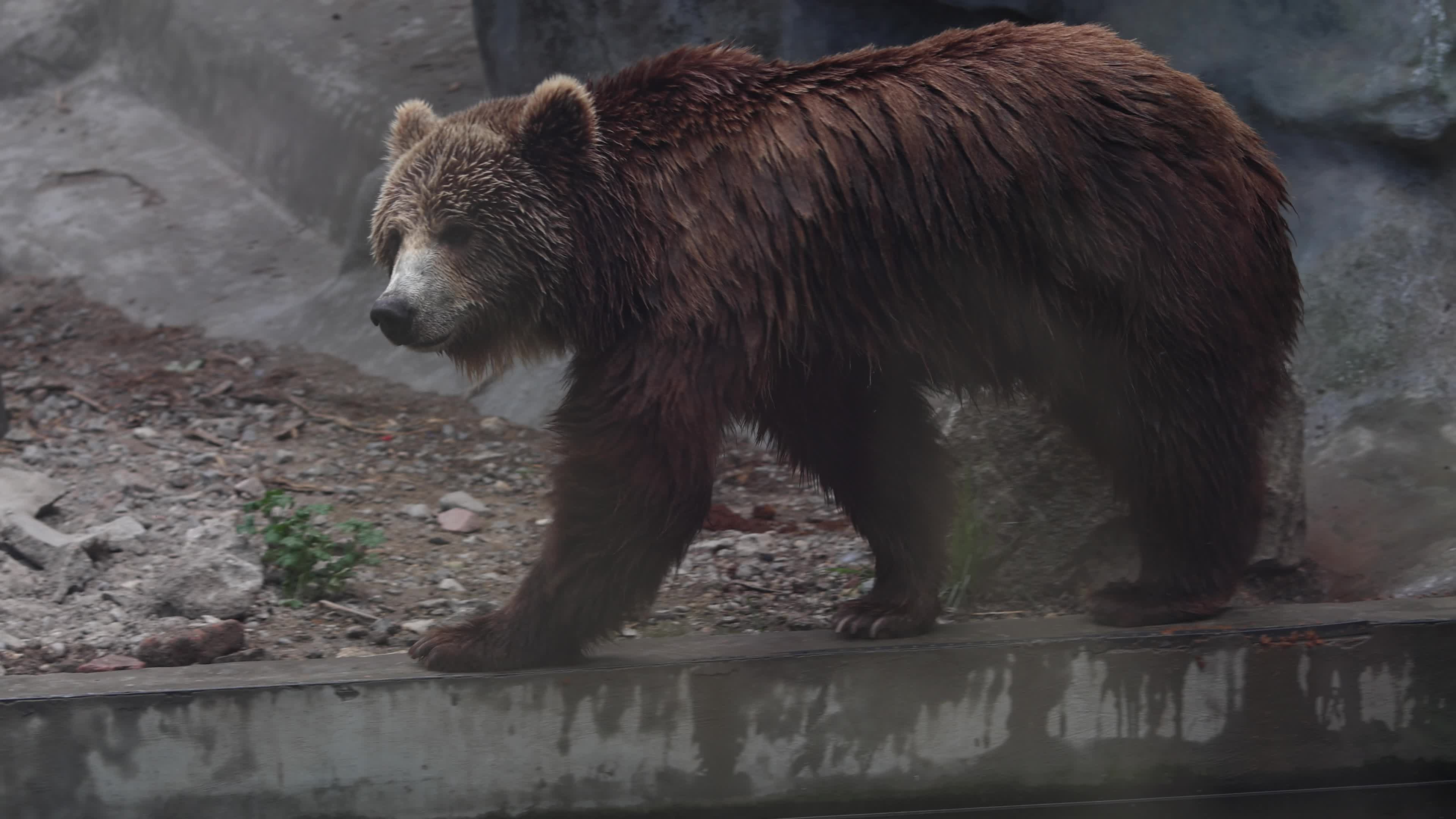 Belgrade Zoo