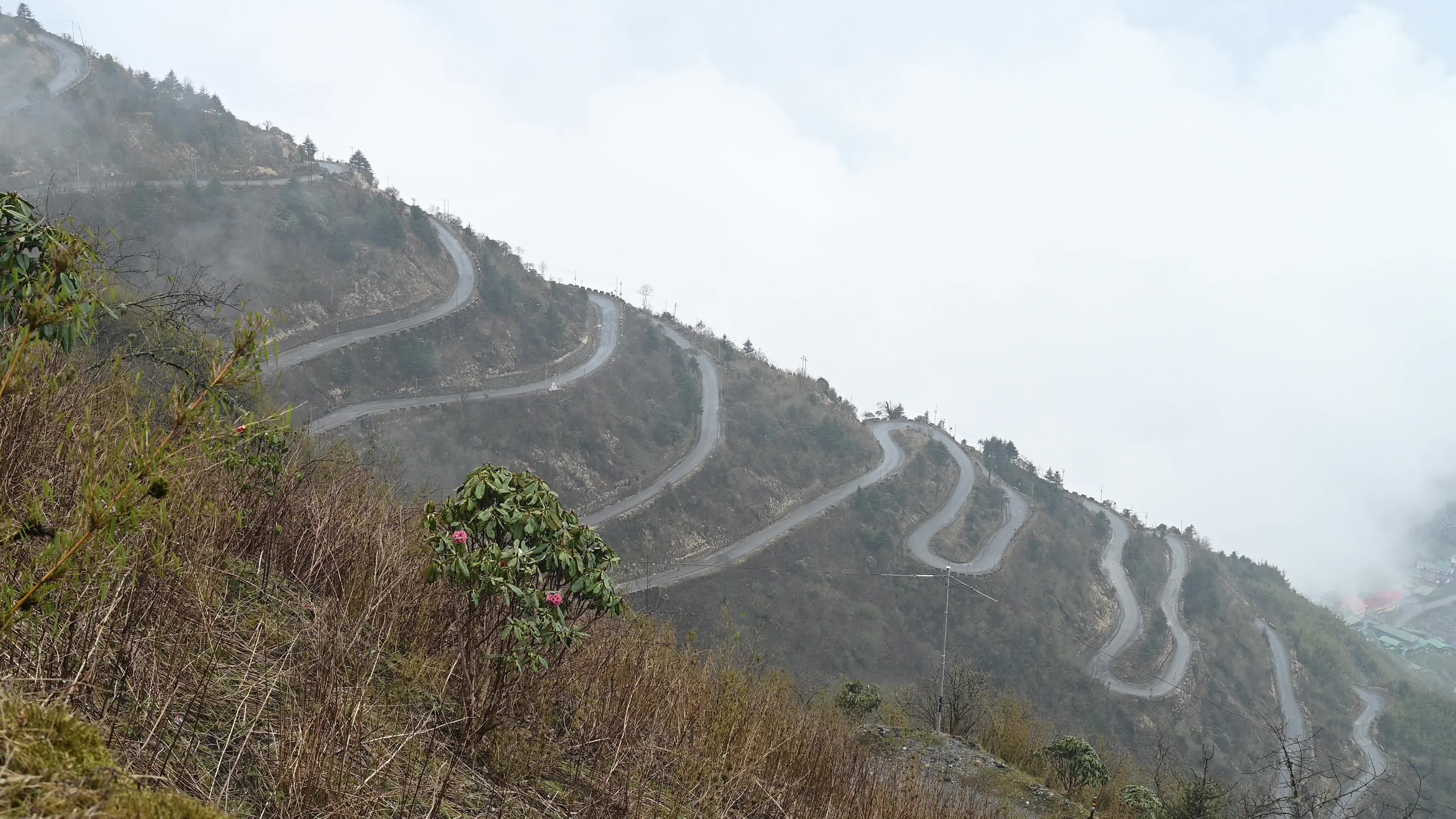 Old Silk Route - The Old Indo-China Trade Route - Indian Himalaya