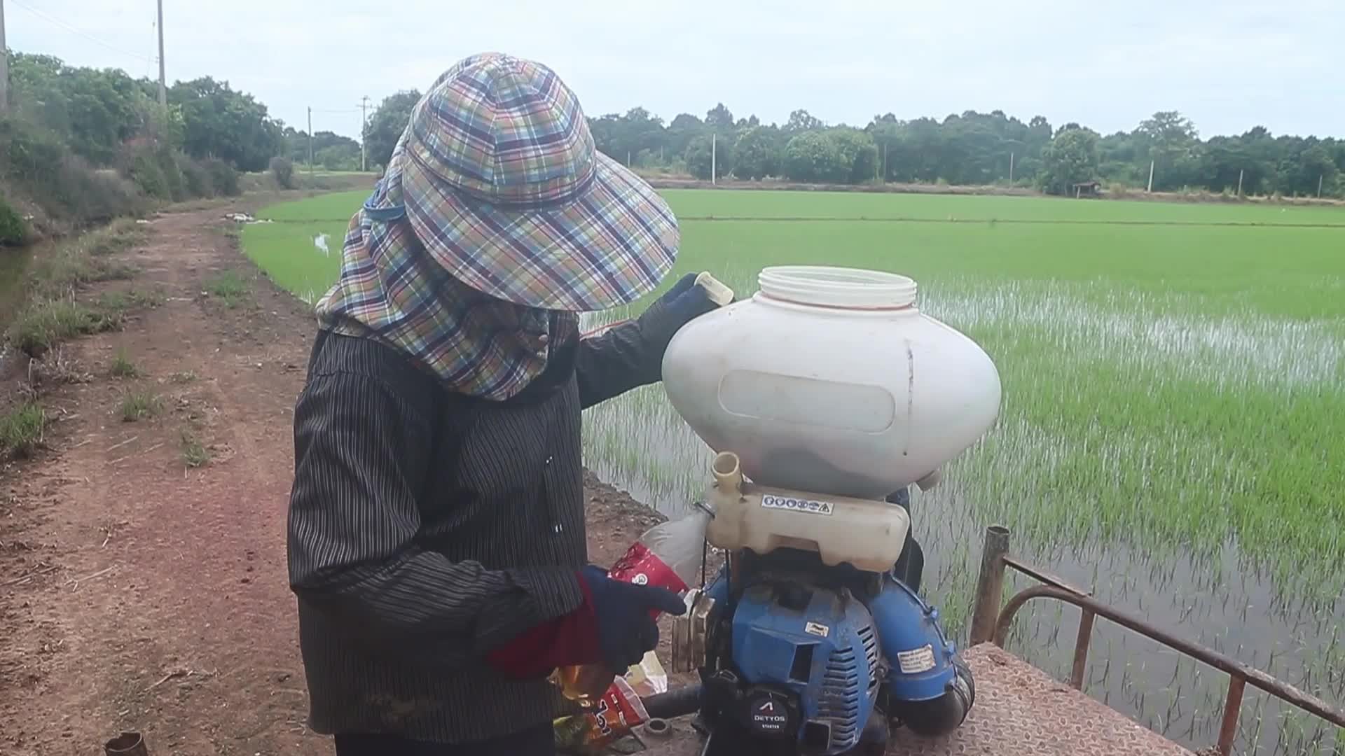 Herbicide In Thailand