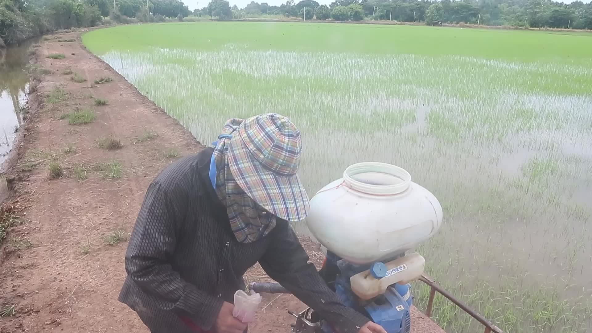 Herbicide In Thailand