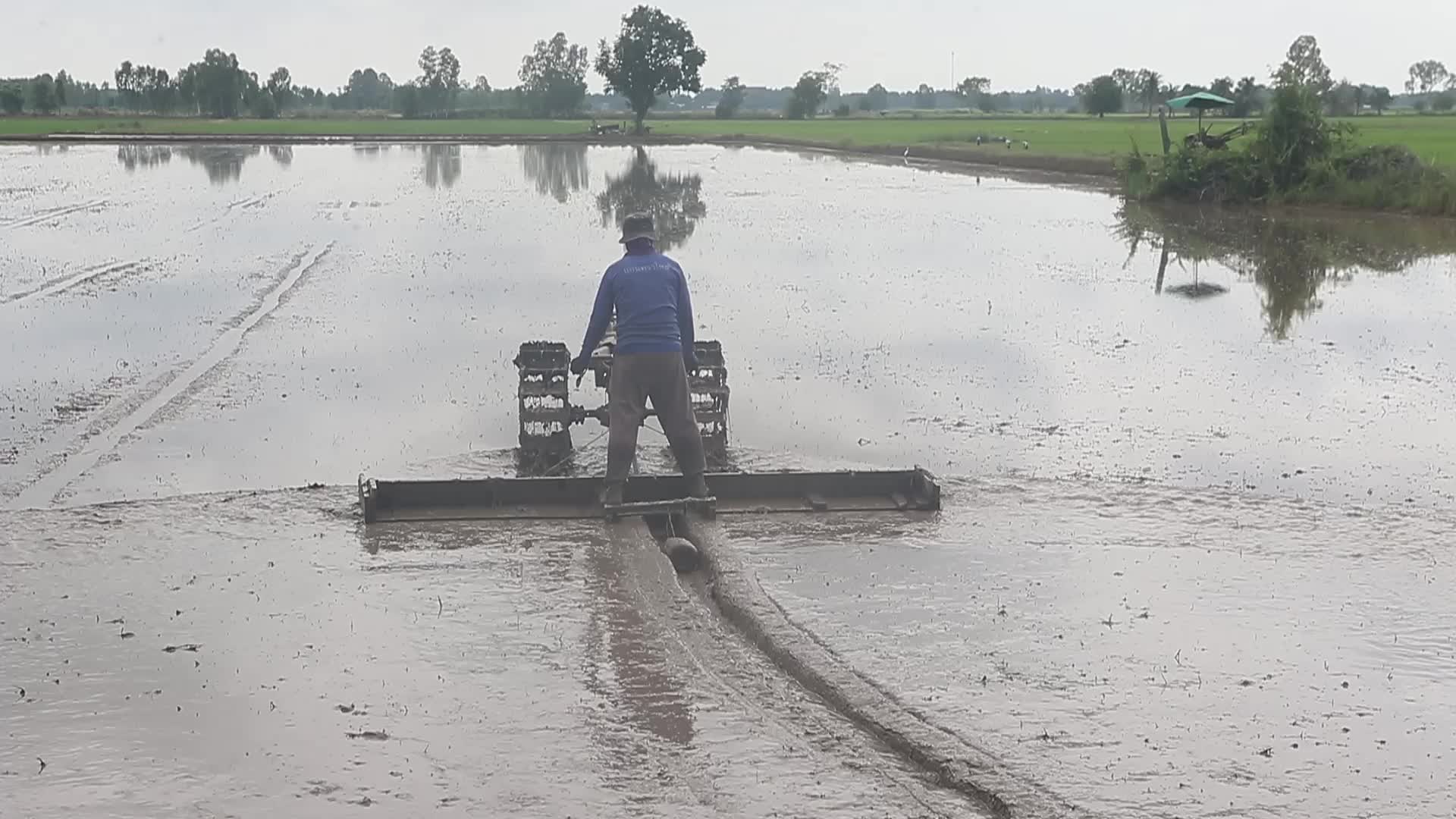 Thailand Agriculture