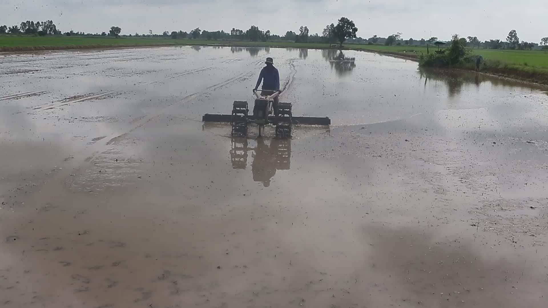 Thailand Agriculture
