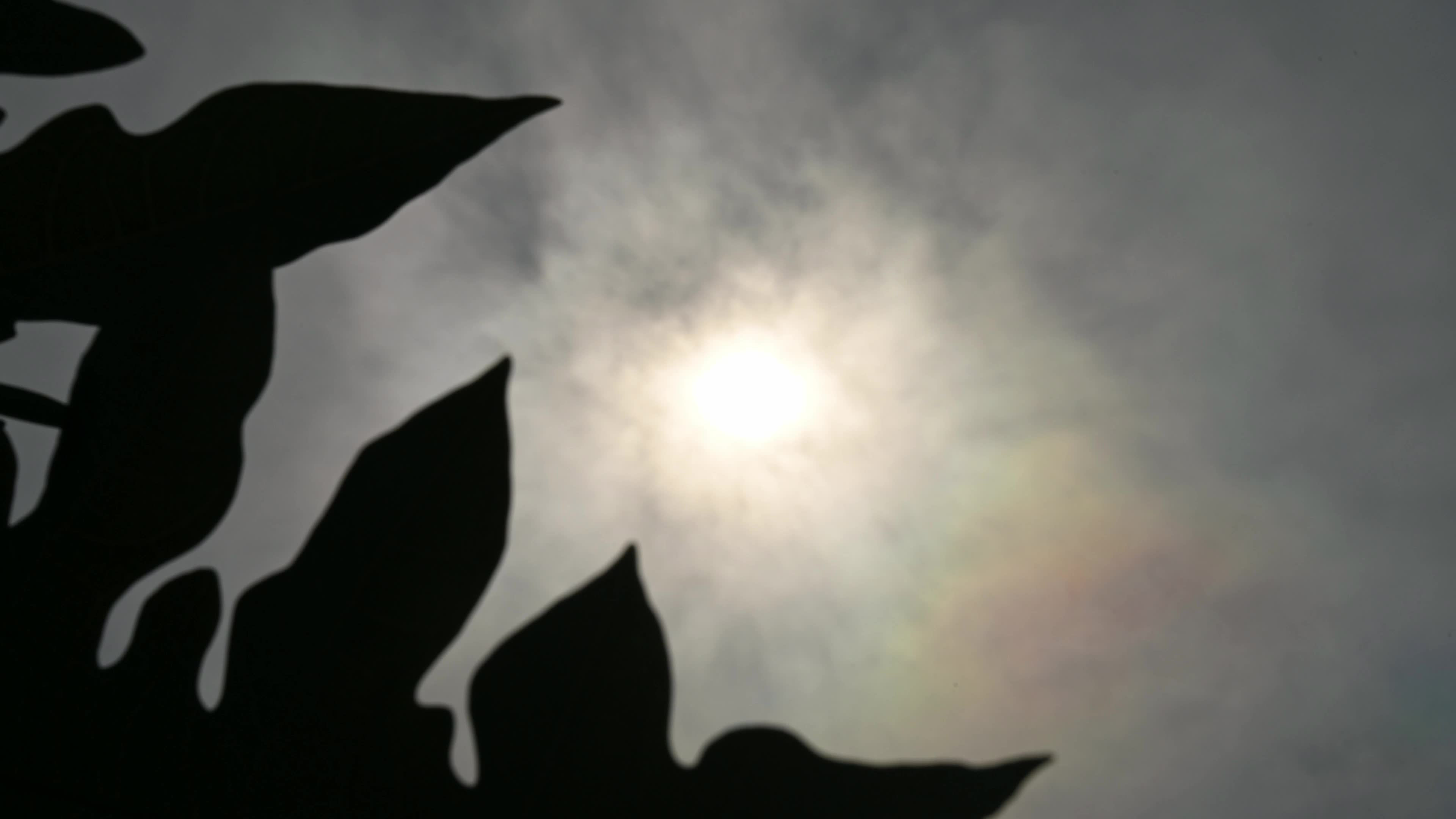 Summer Solstice 2026 - Sun