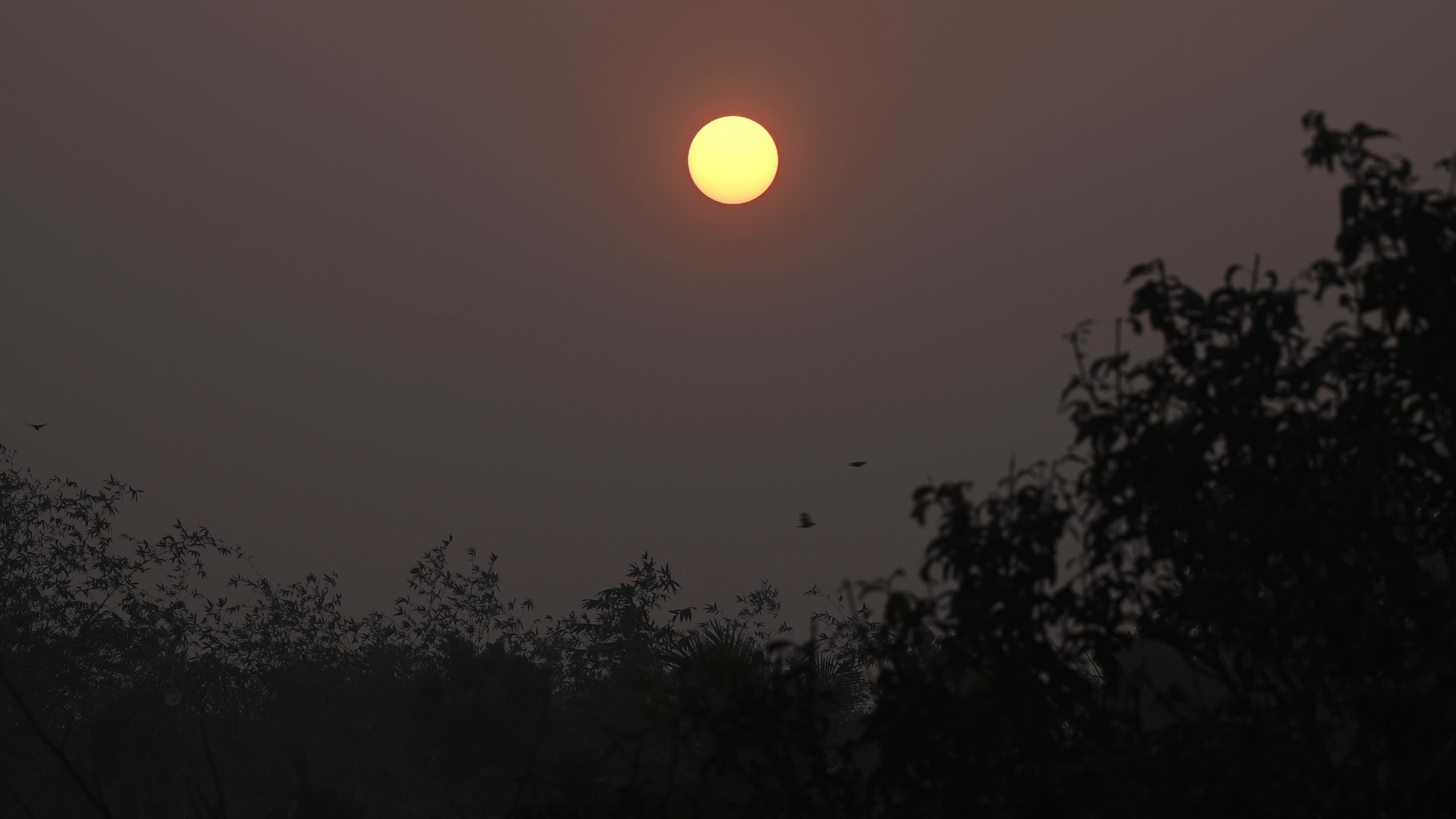 Summer Solstice 2026 - Sun