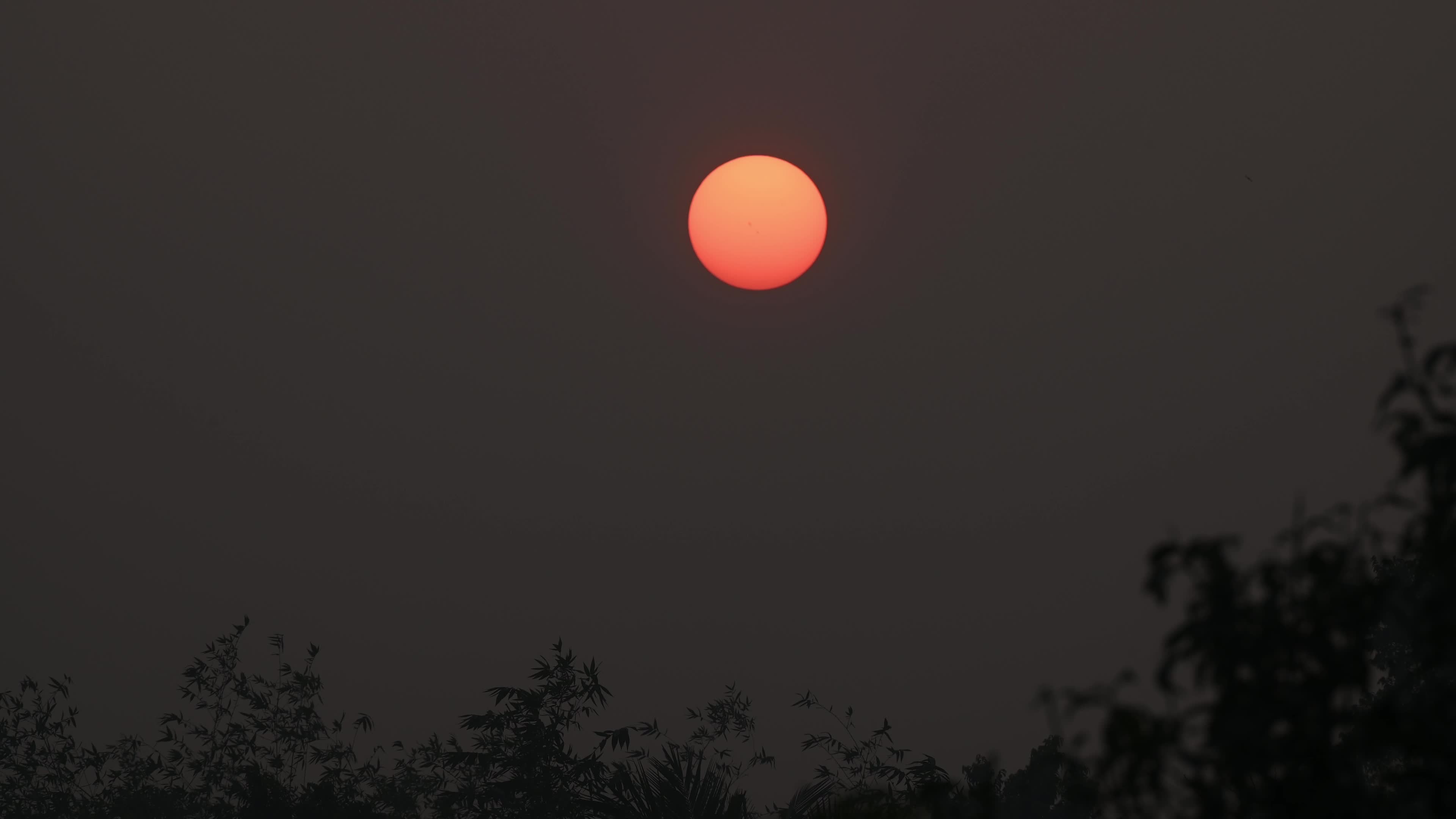 Summer Solstice 2026 - Sun