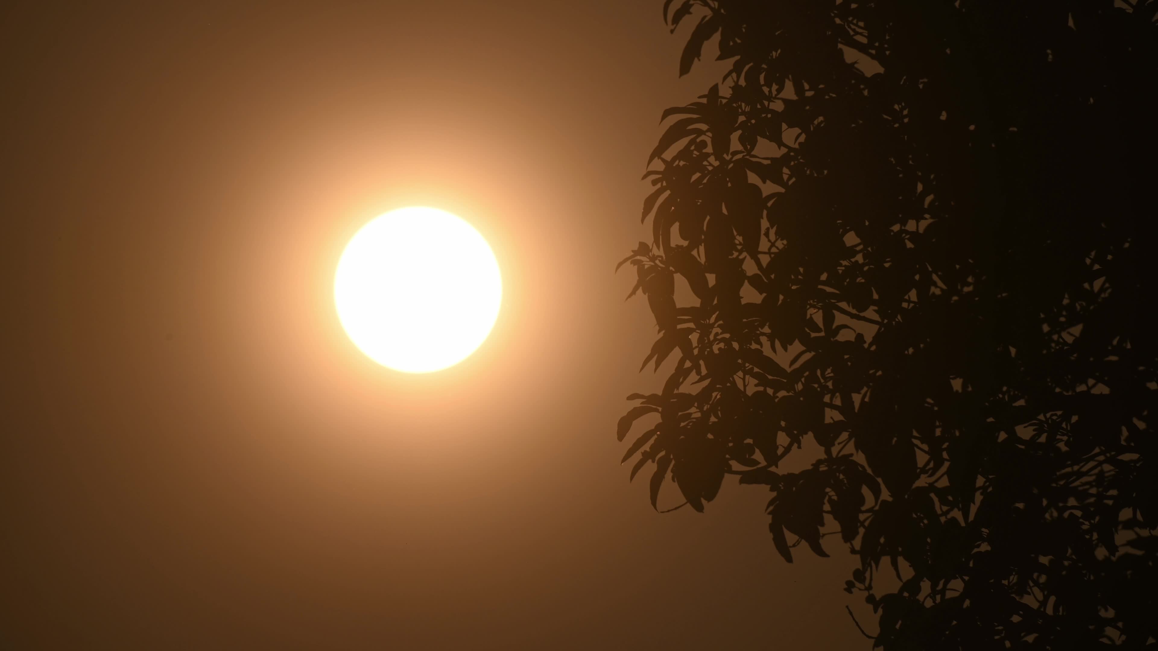 Summer Solstice 2026 - Sun
