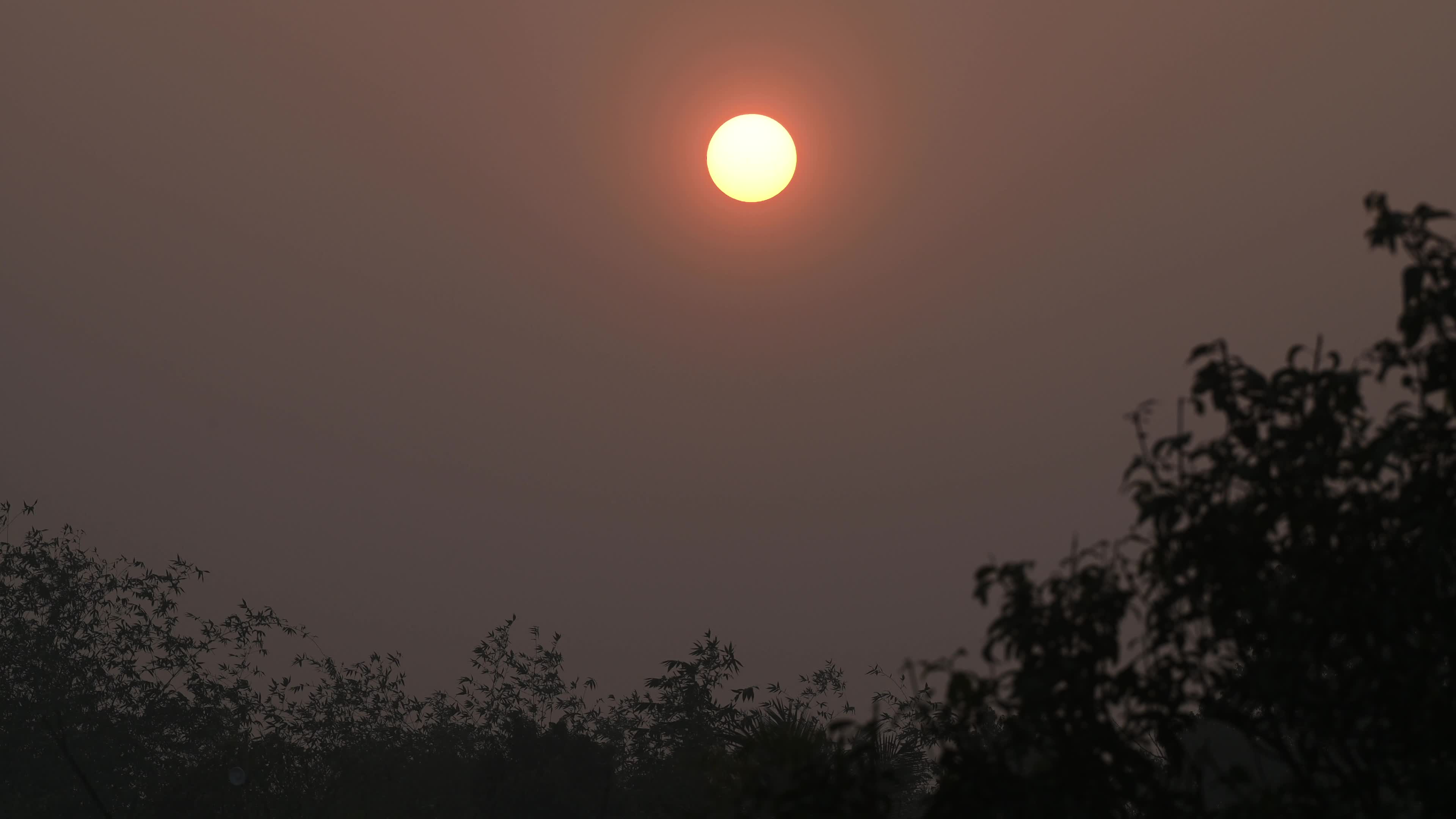 Summer Solstice 2026 - Sun