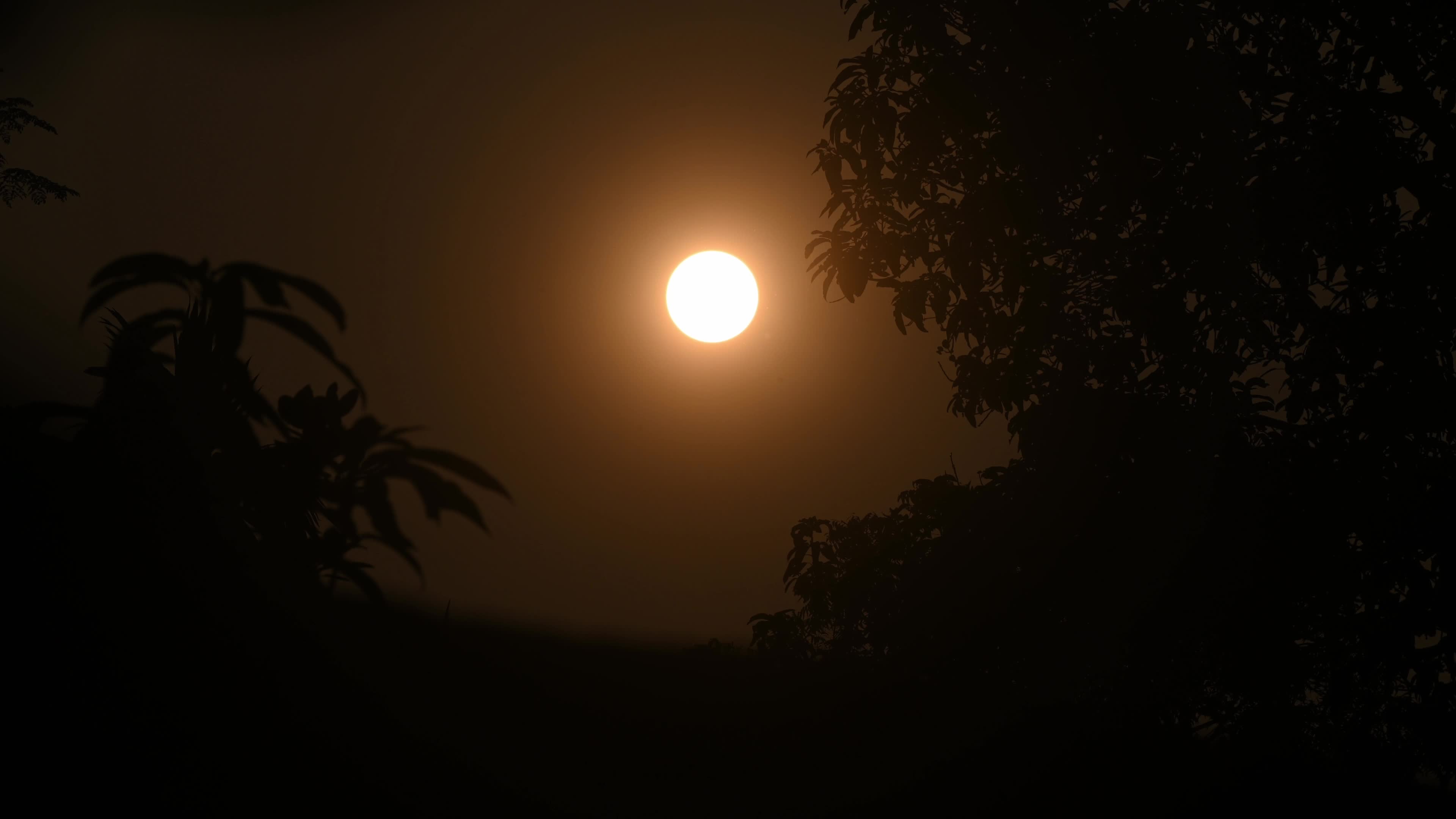 Summer Solstice 2026 - Sun