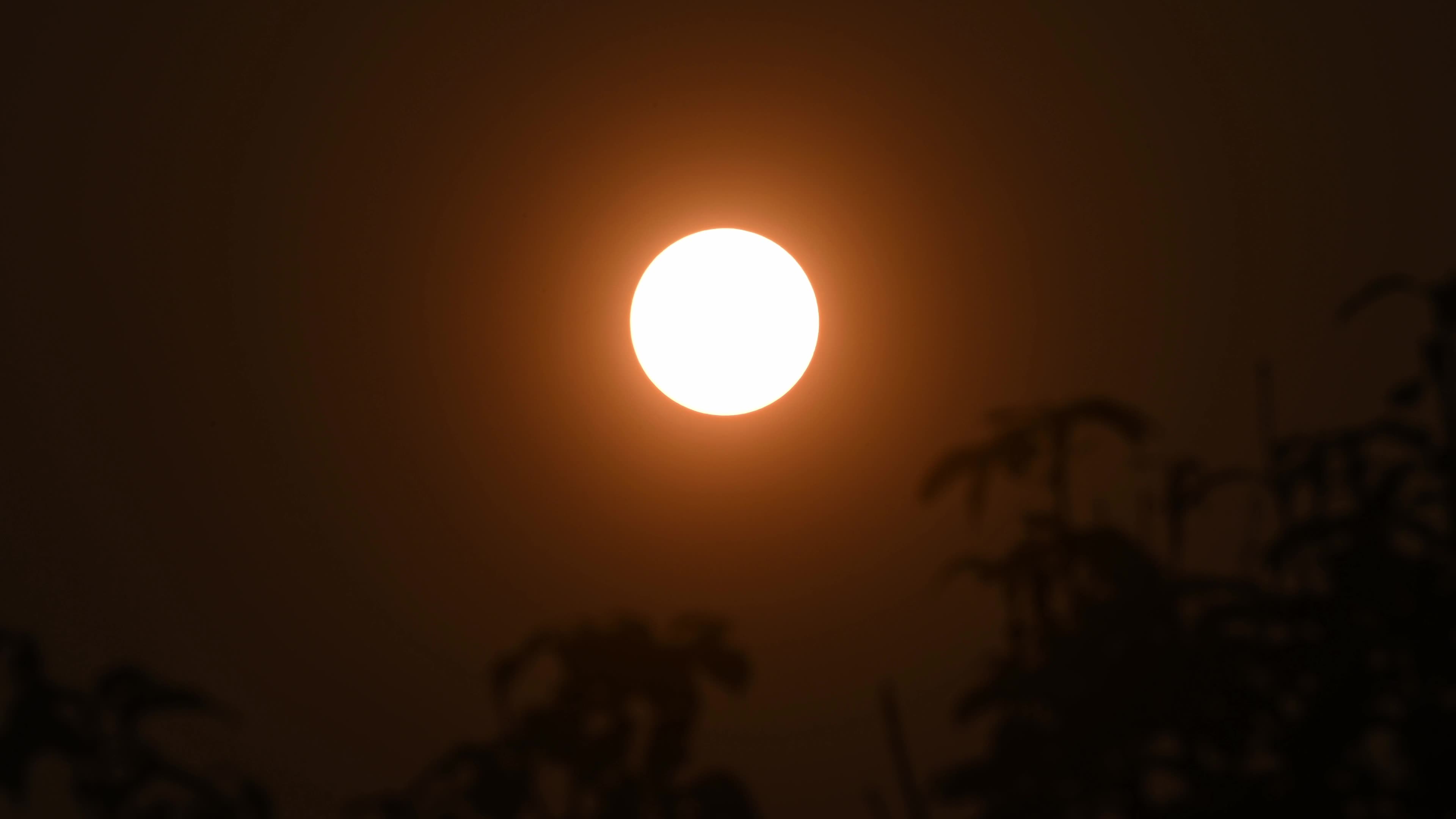 Summer Solstice 2026 - Sun