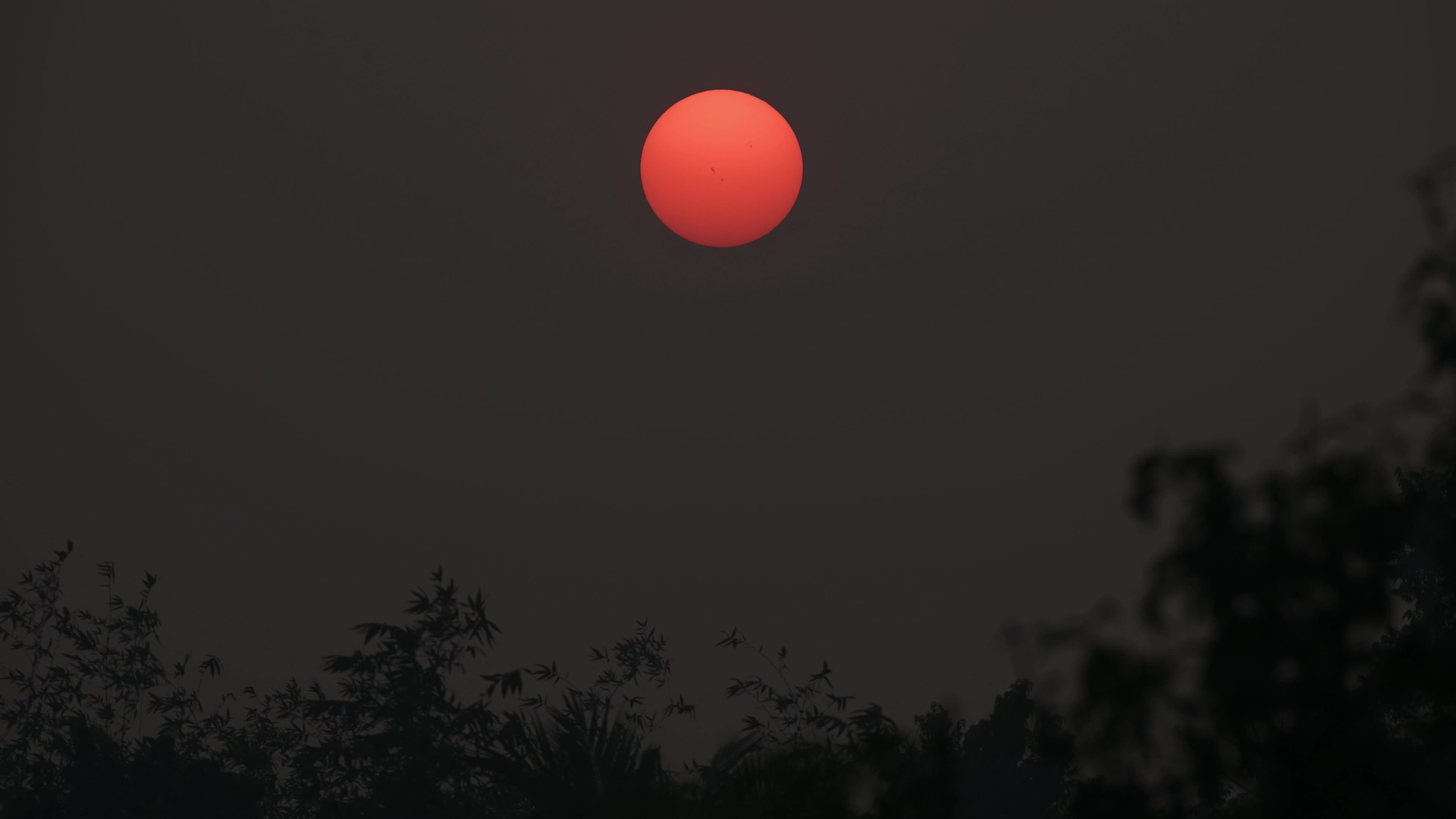 Summer Solstice 2026 - Sun