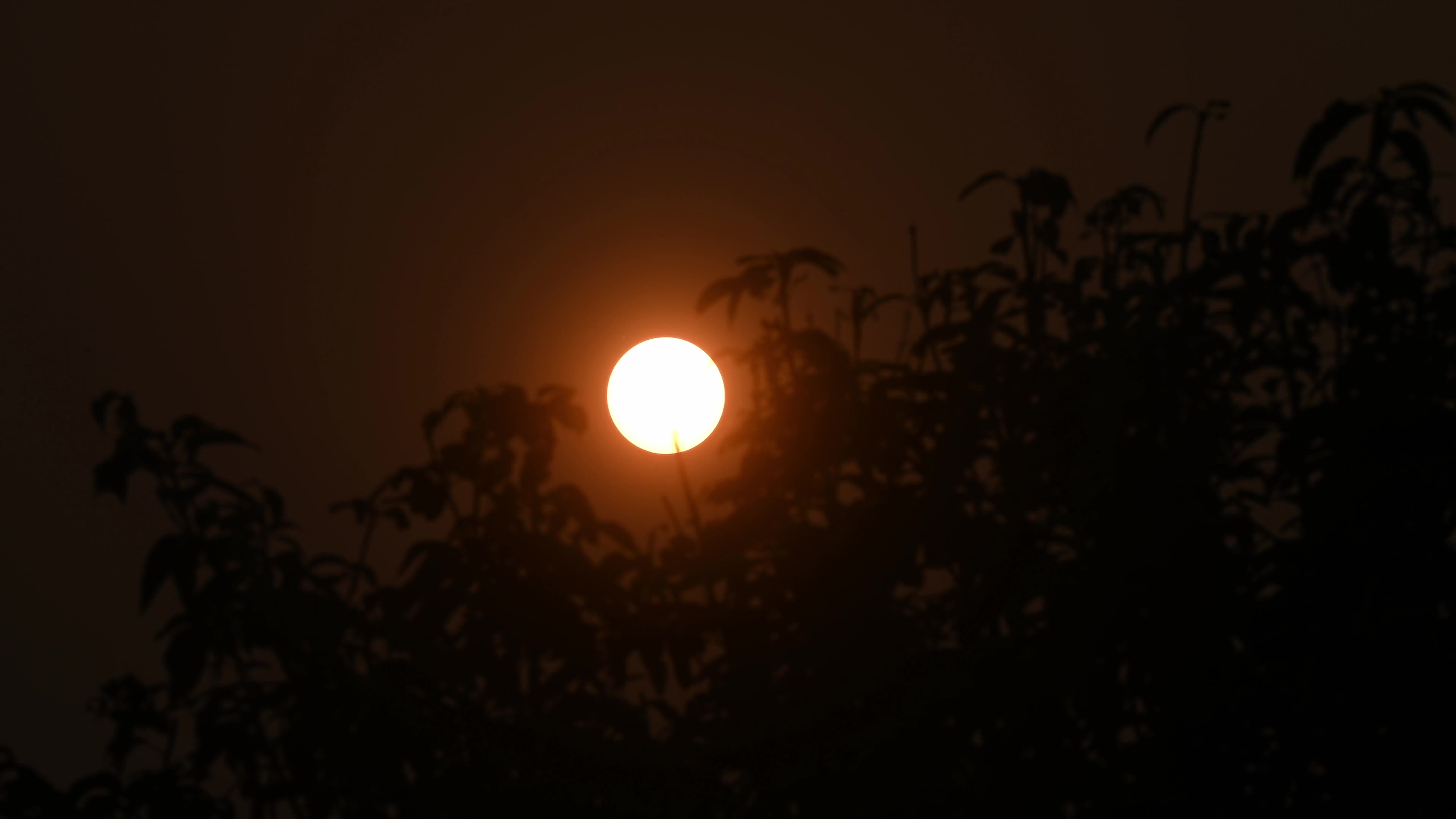 Summer Solstice 2026 - Sun