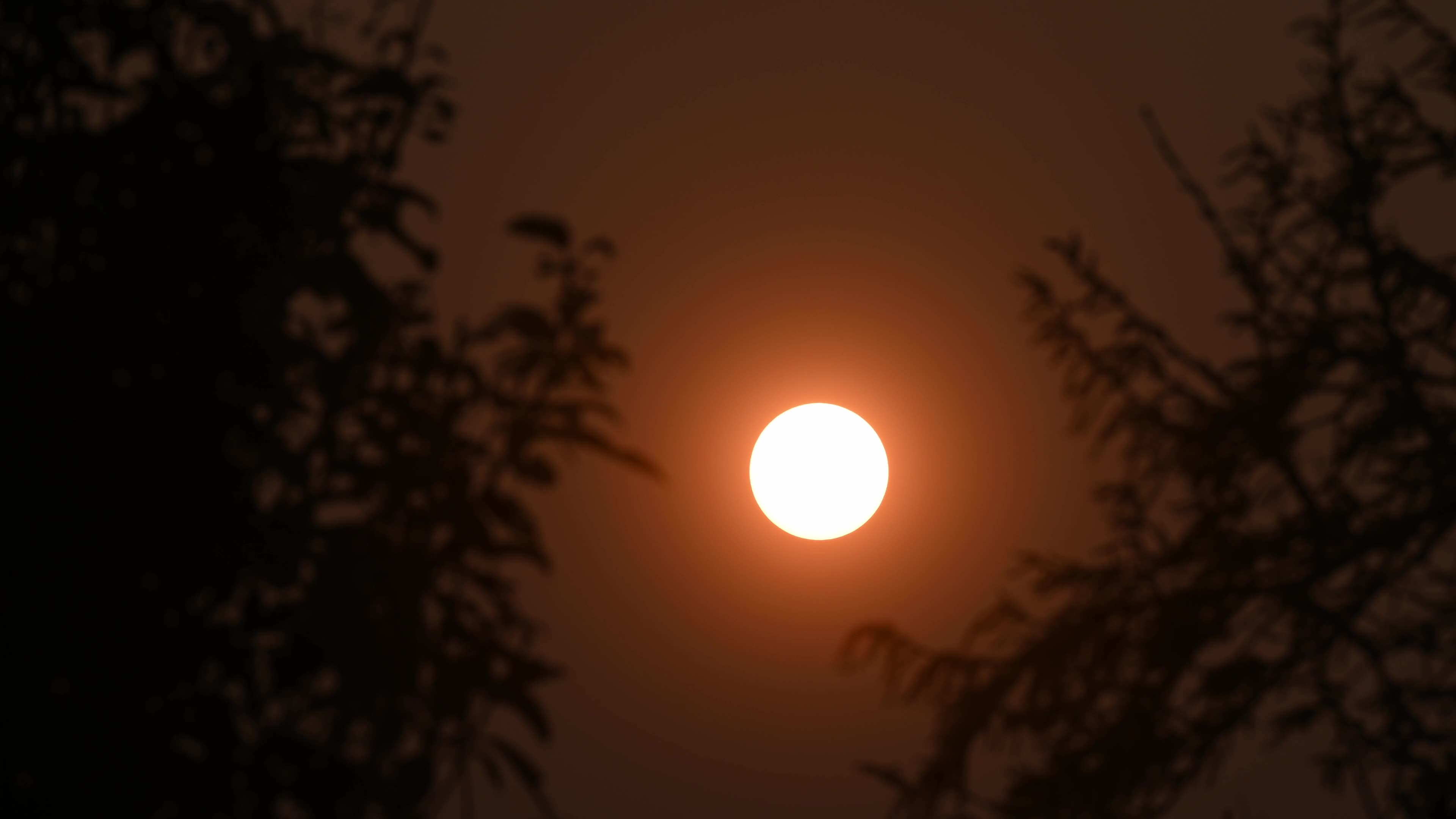 Summer Solstice 2026 - Sun
