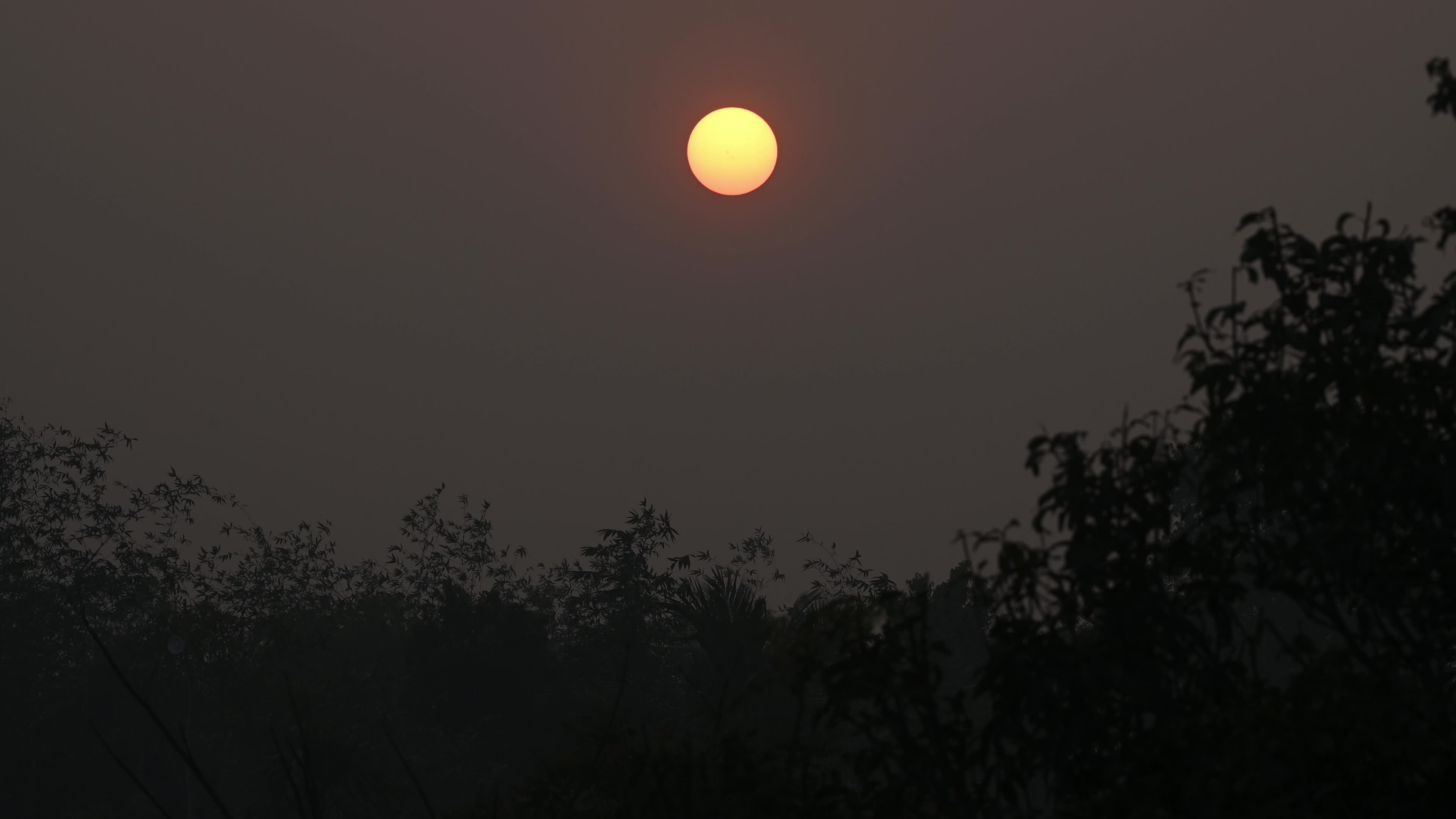 Summer Solstice 2026 - Sun
