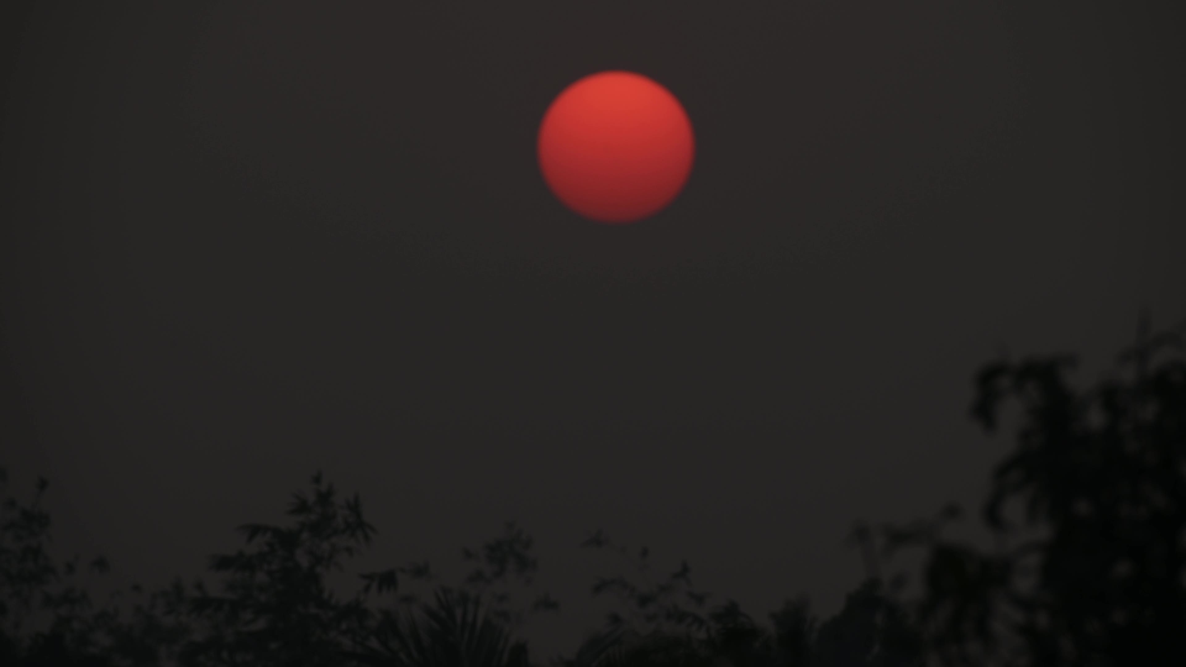 Summer Solstice 2026 - Sun