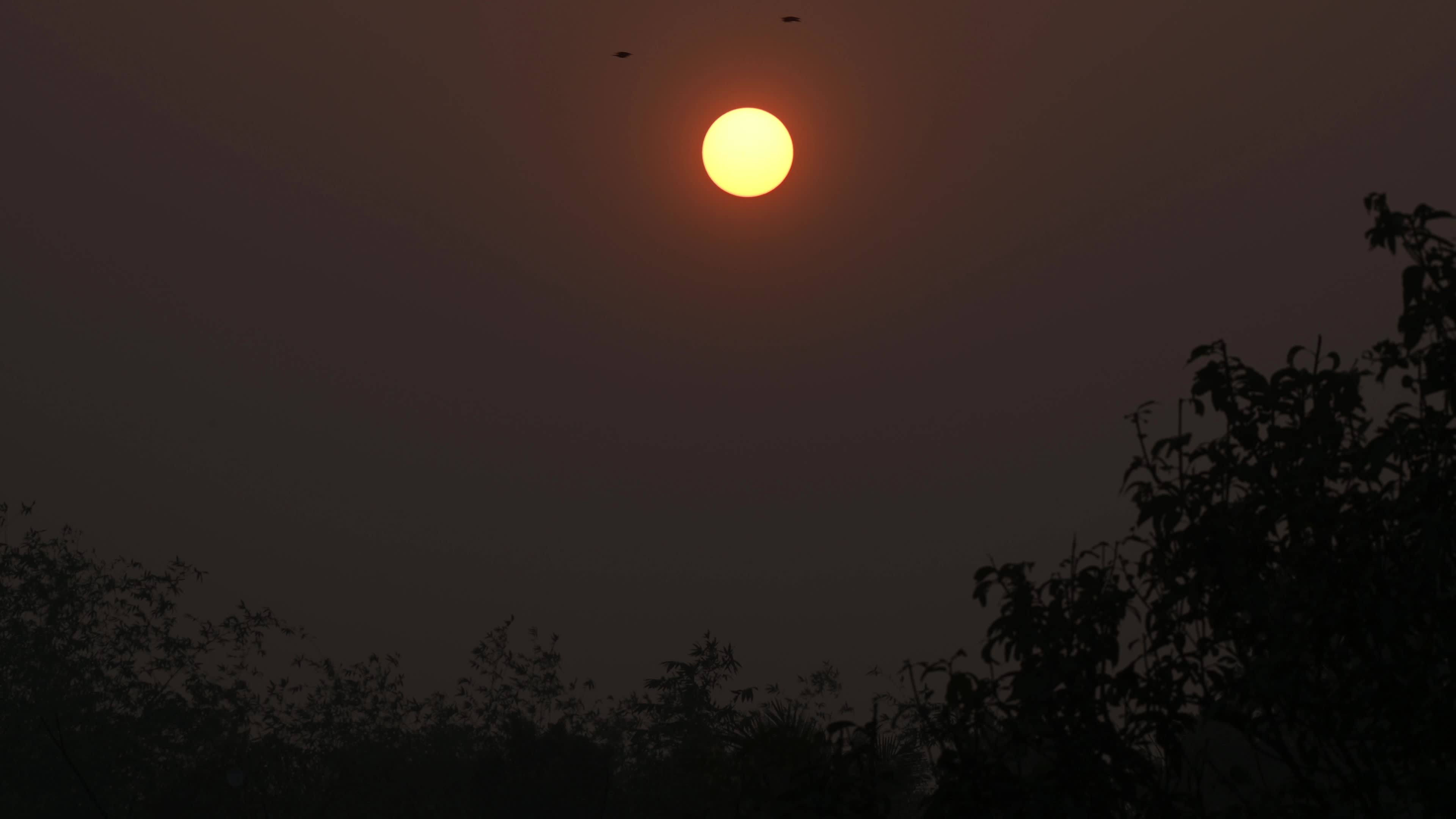 Summer Solstice 2026 - Sun