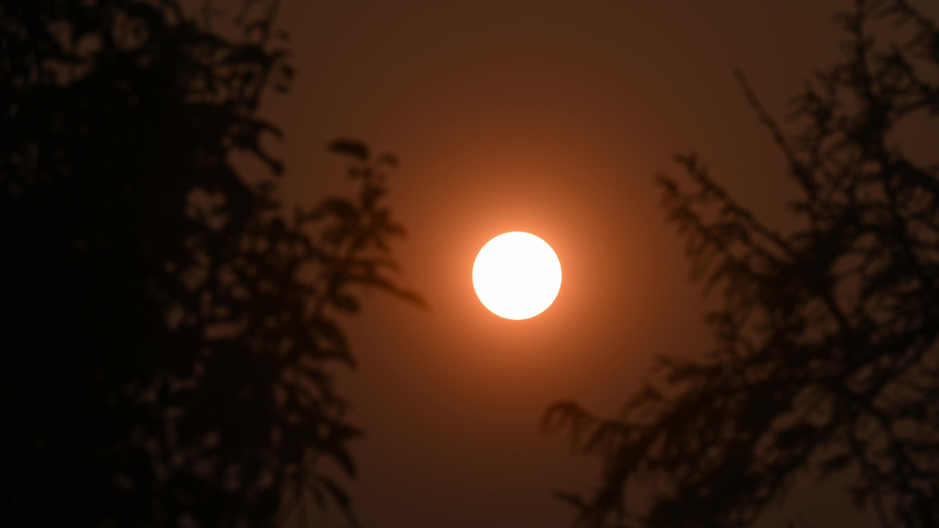 Summer Solstice 2026 - Sun