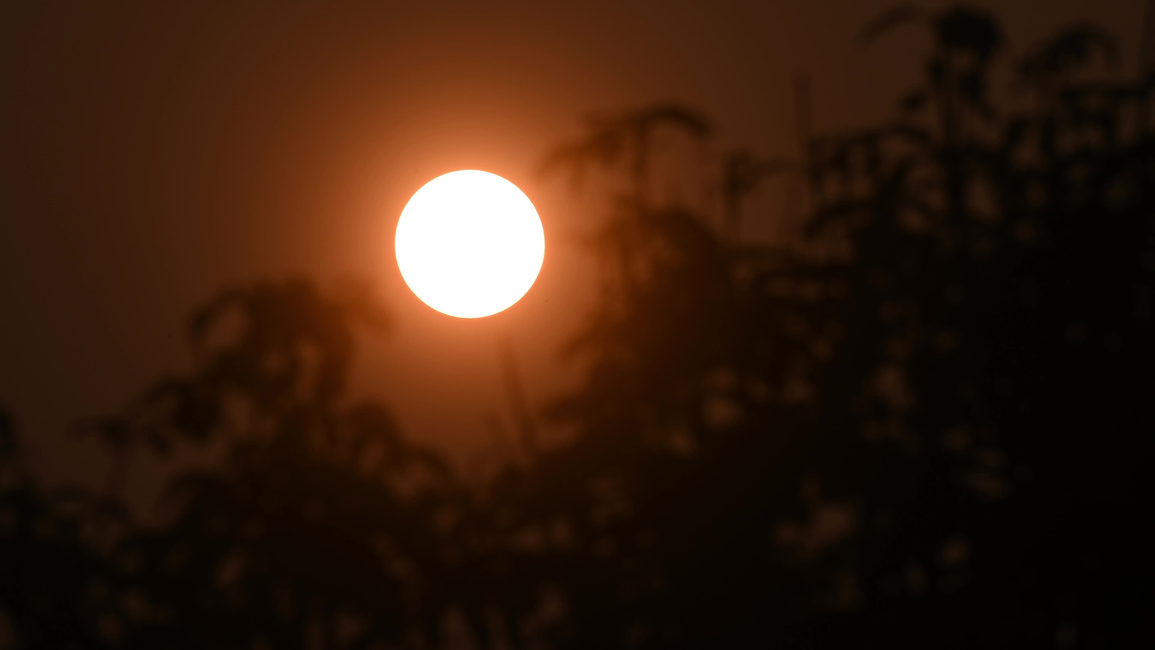 Summer Solstice 2026 - Sun