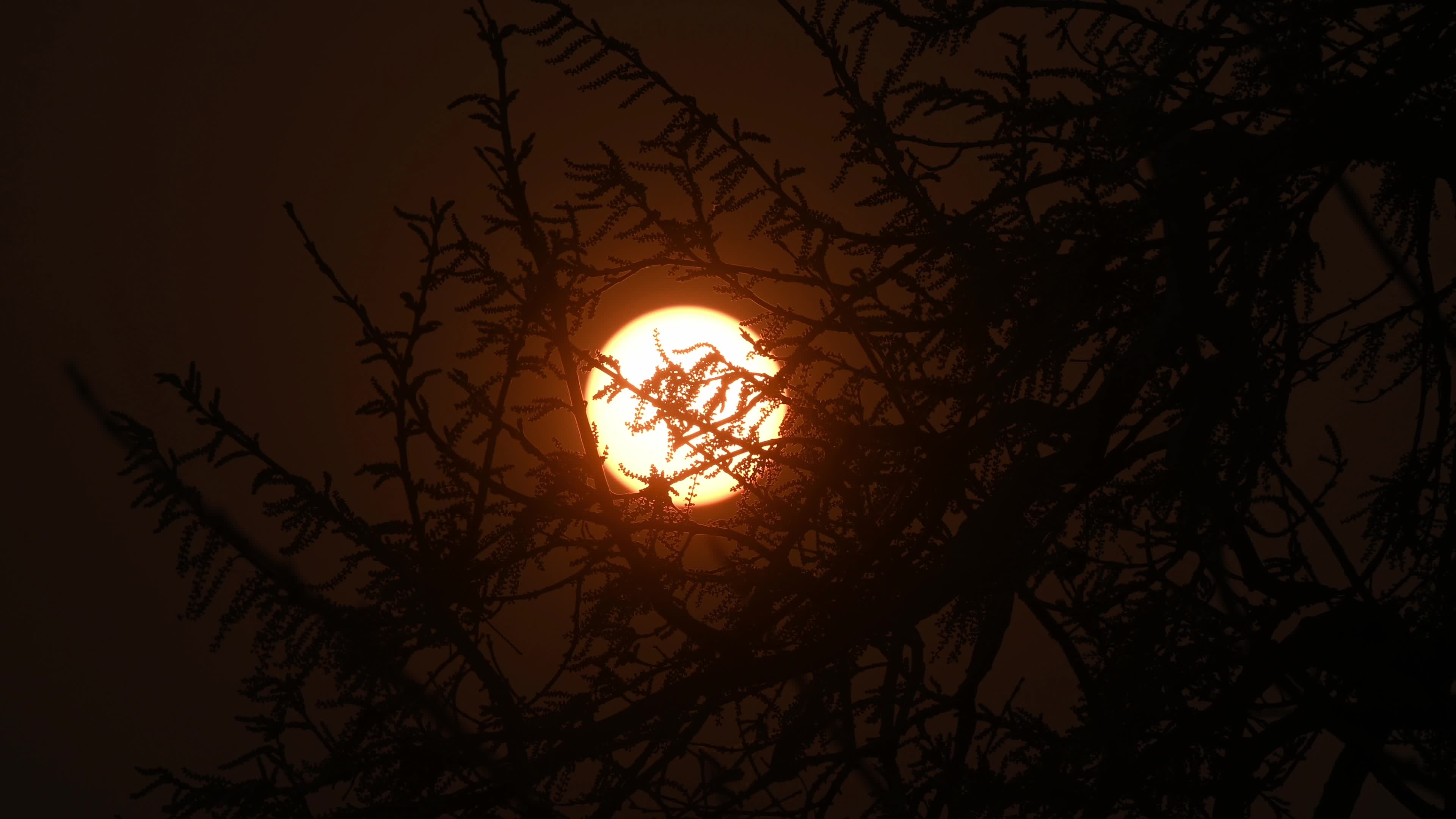 Summer Solstice 2026 - Sun