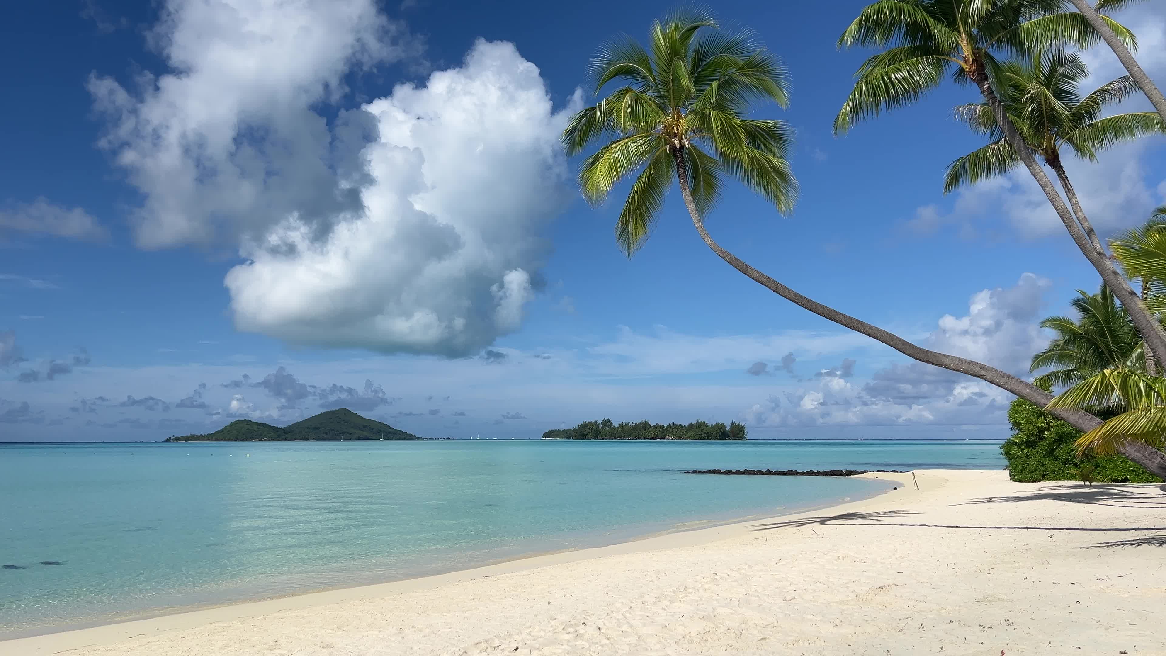 Beach in Motu Tevairoa, French Polynesia