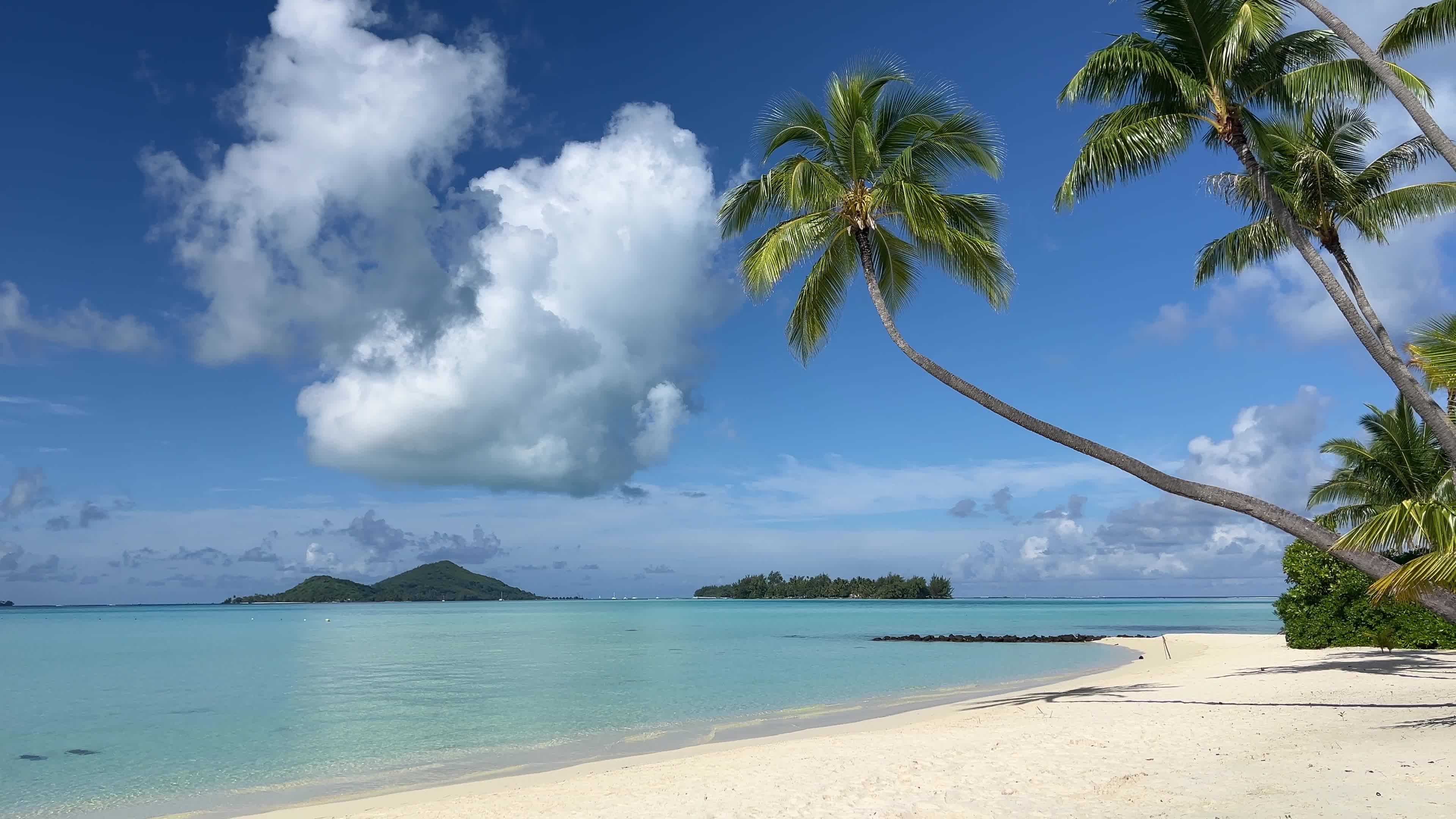 Beach in Motu Tevairoa, French Polynesia