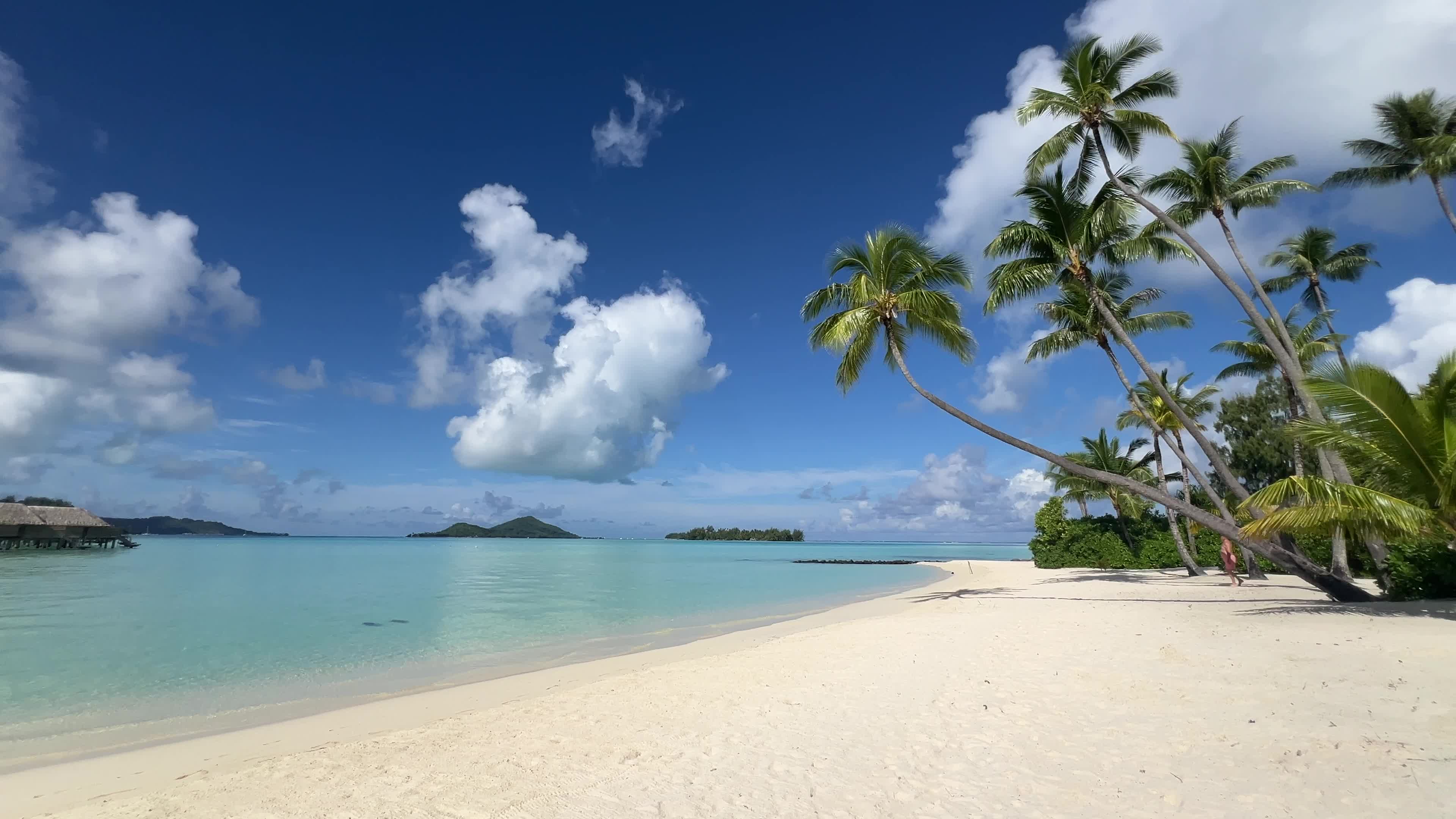 Beach in Motu Tevairoa, French Polynesia