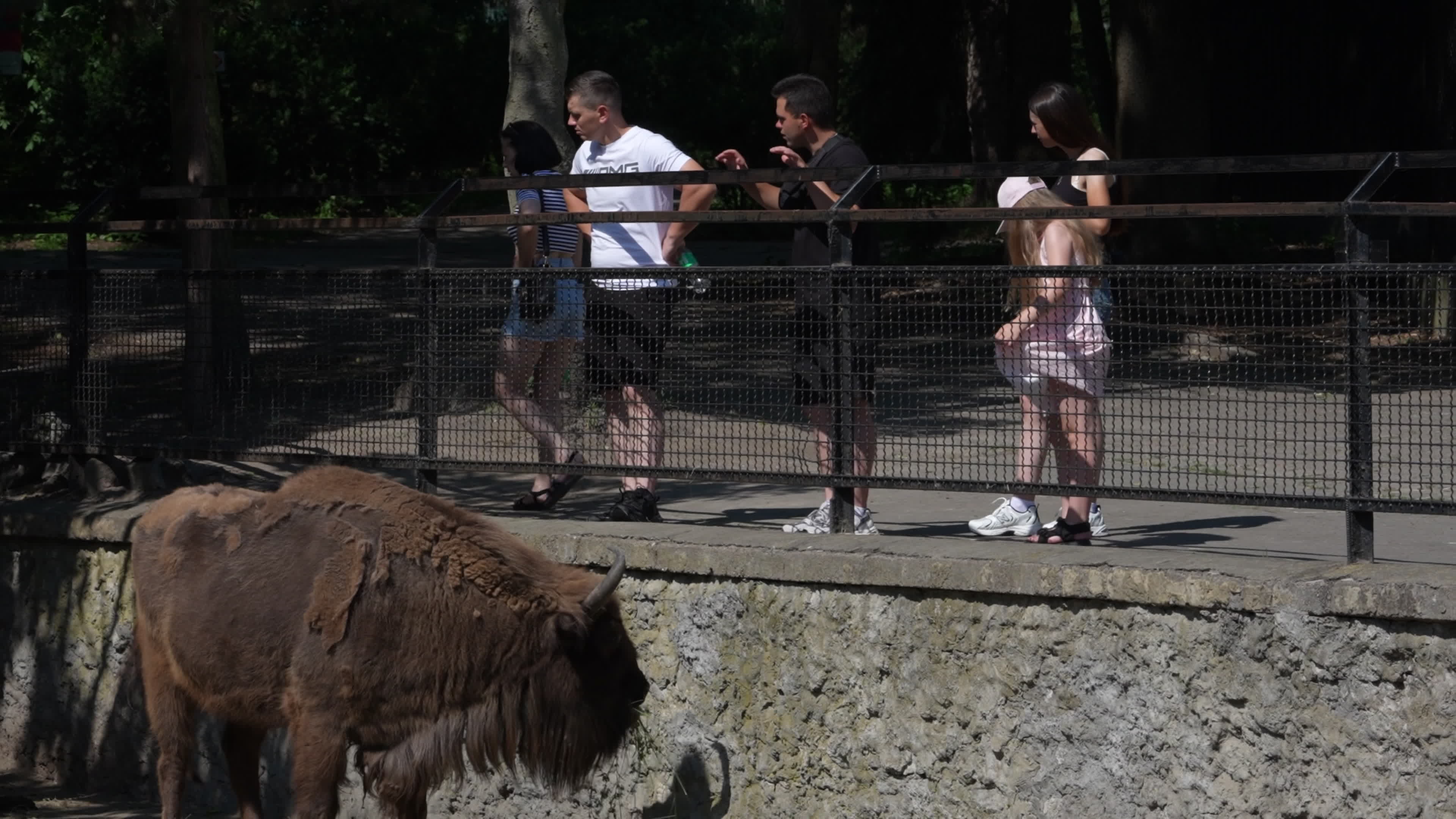 Animals at Warsaw Zoo take cover as heatwave hits